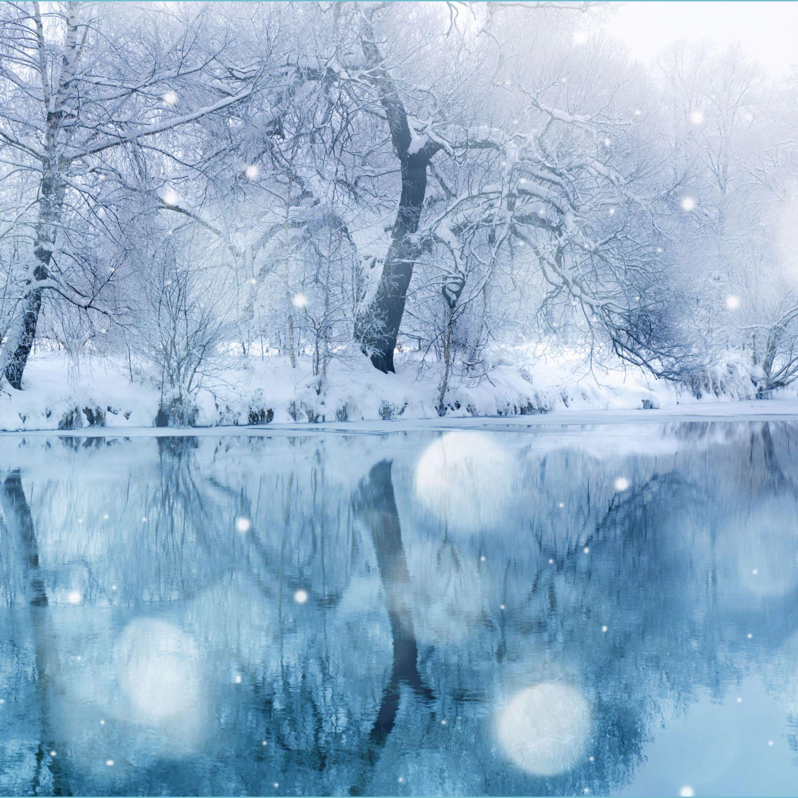 2560x2560 Cute Winter Snow Wallpaper Free Cute Winter Snow winter wallpaper