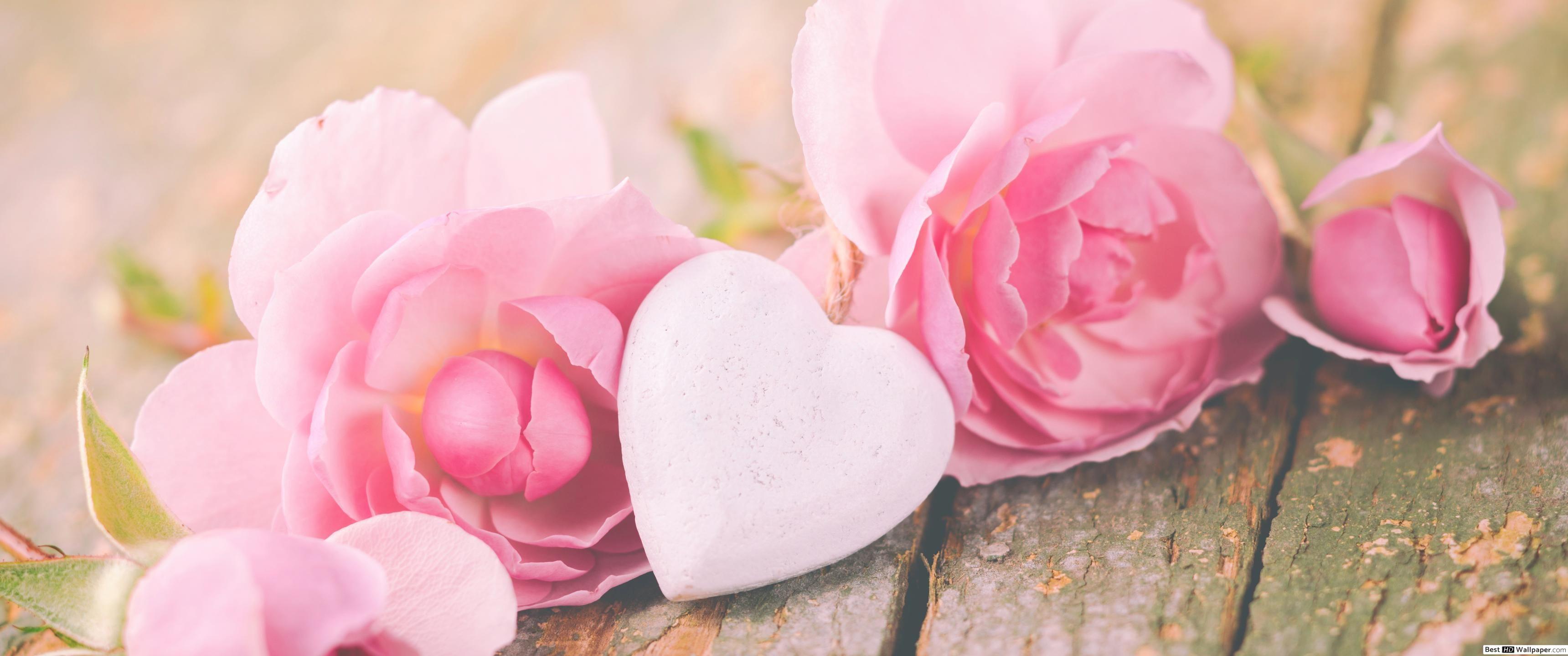 3440x1440 Pink roses in a rustic plank HD wallpaper download