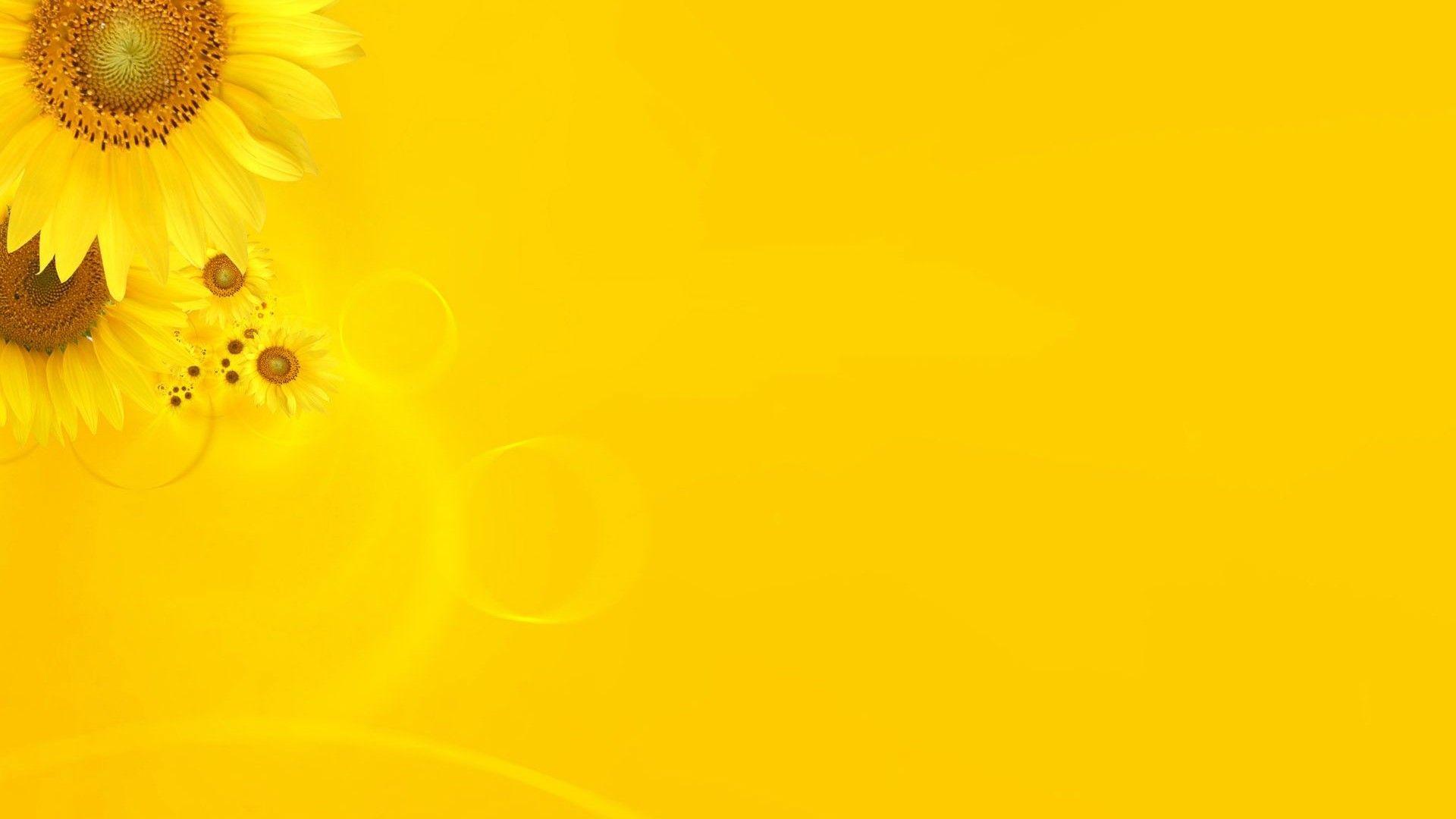 1920x1080 Yellow Aesthetic Wallpaper Desktop Wallpaper Aesthetic
