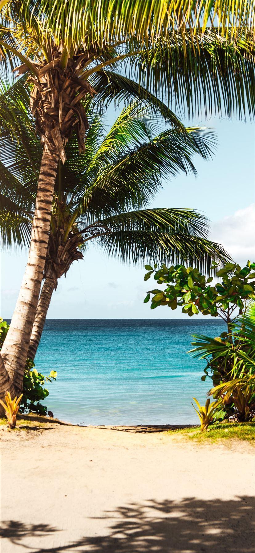 828x1792 Best Puerto rico iPhone X Wallpaper HD [2020]