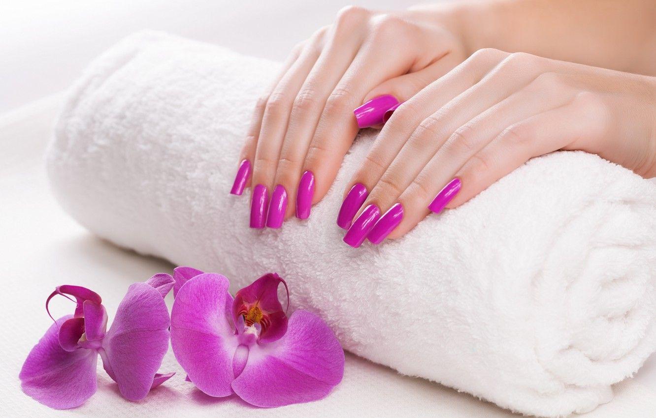 1332x850 Wallpaper towel, hands, Orchid, manicure image for desktop, section стиль