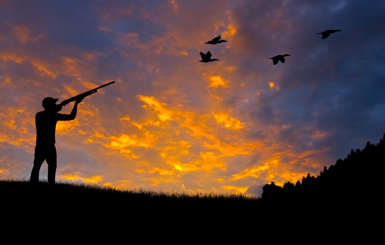 1332x850 Photo Wallpaper Forest, Nature, Duck, Silhouette, Shooting, To The Ecosystem