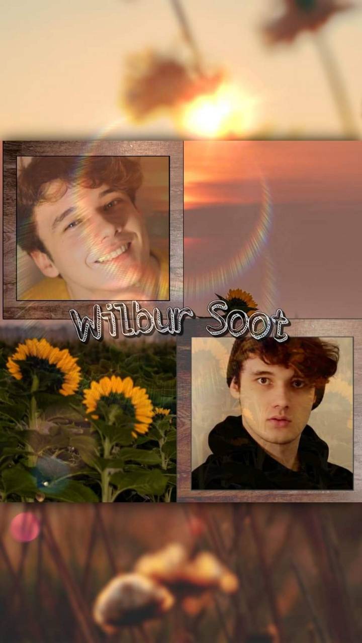 Wilbur soot wilbursoot HD phone wallpaper  Peakpx