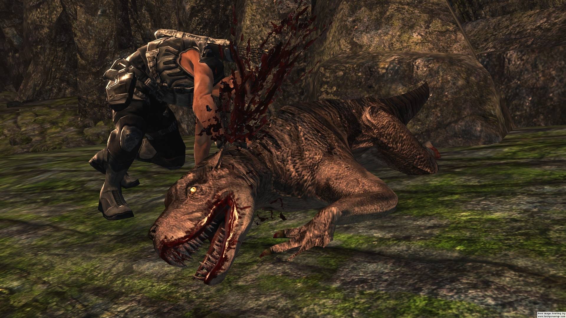1920x1080 Free download Turok Wallpaper [1920x1080] for your Desktop, Mobile & Tablet. Explore Turok Wallpaper. Turok Wallpaper