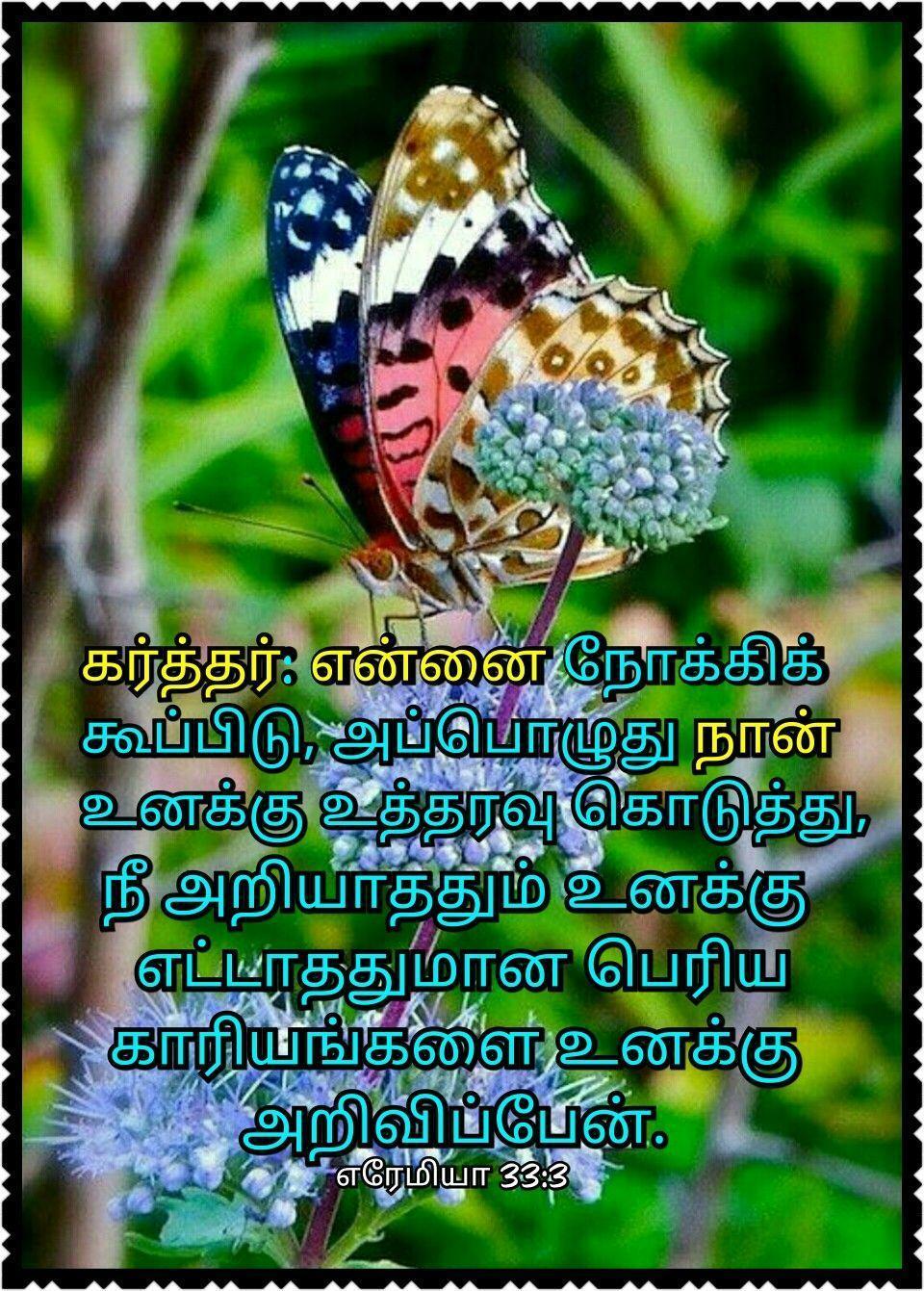 960x1341 Bible Words Wallpaper Tamil HD Quote Tamil for Android