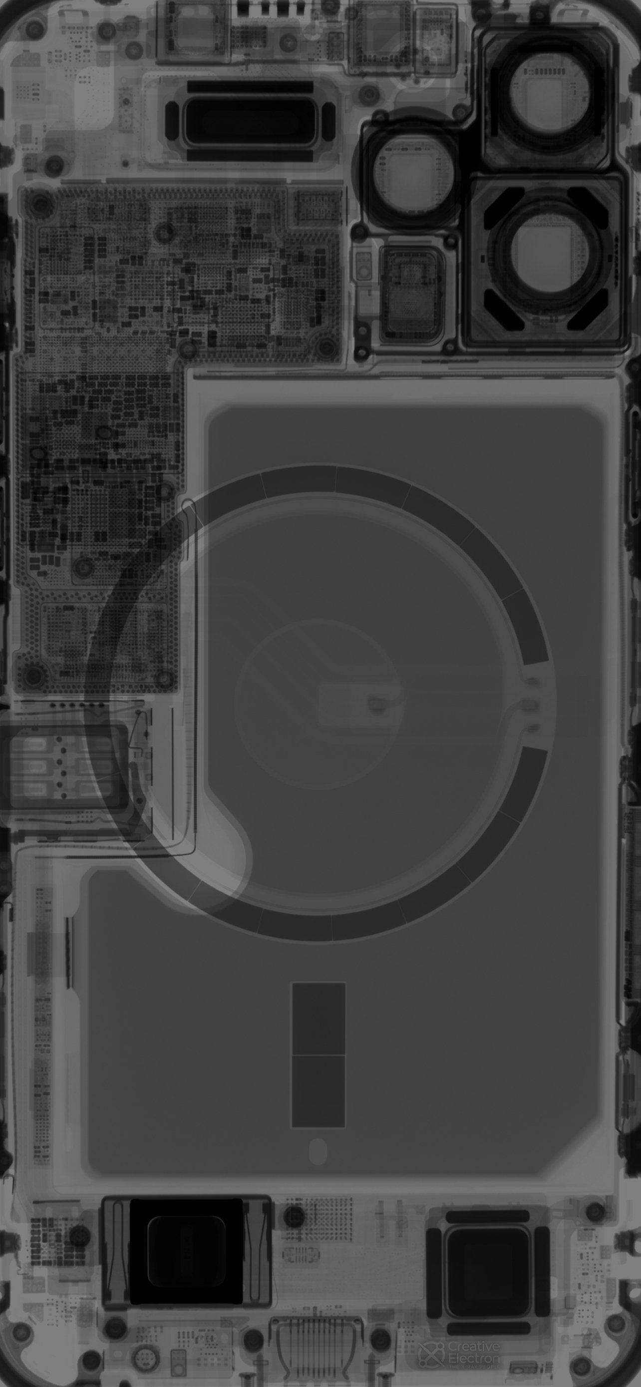 1284x2778 Teardown Wallpaper: iPhone 12 mini and iPhone 12 Pro Max