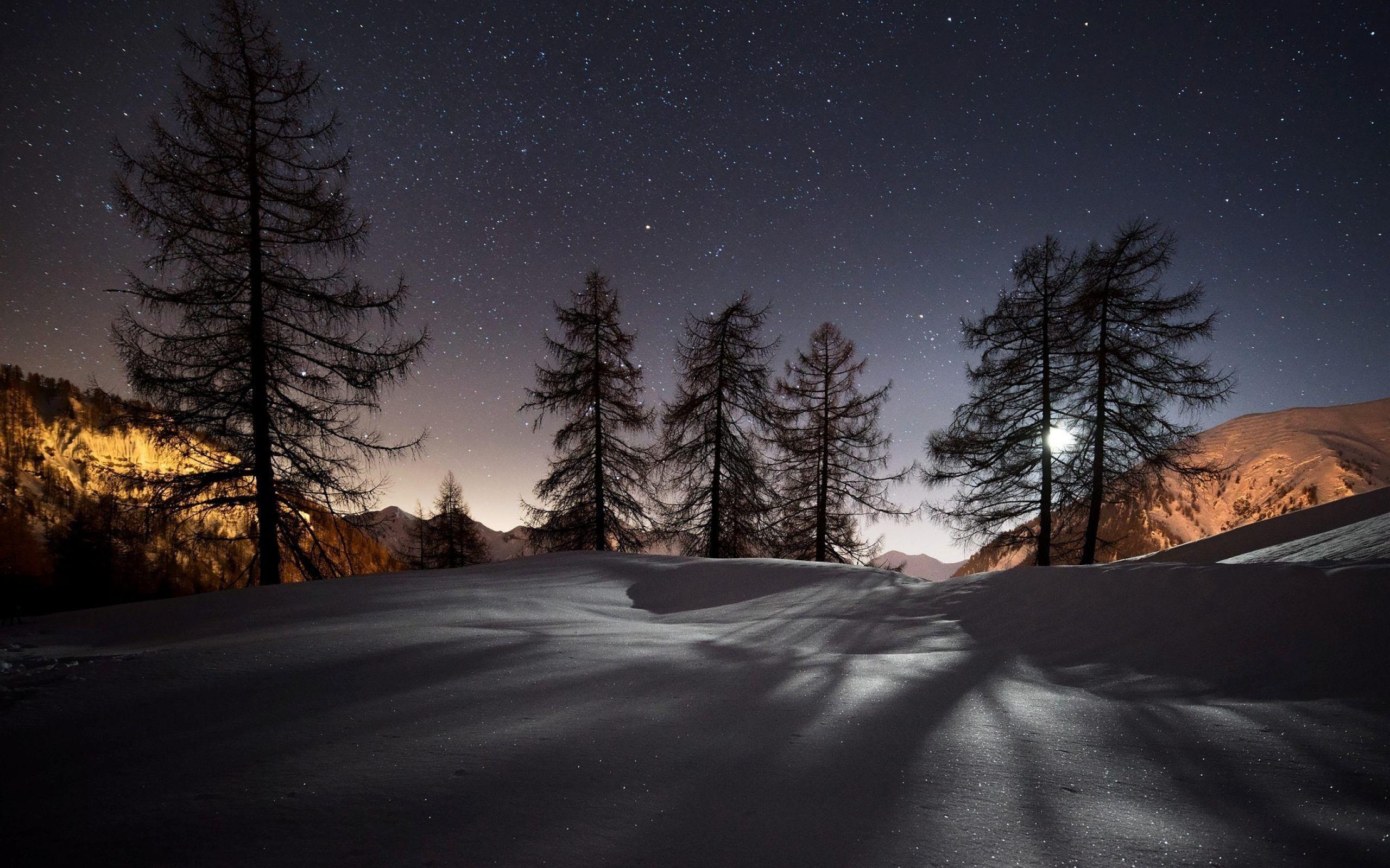 2560x1600 Winter Night Wallpaper