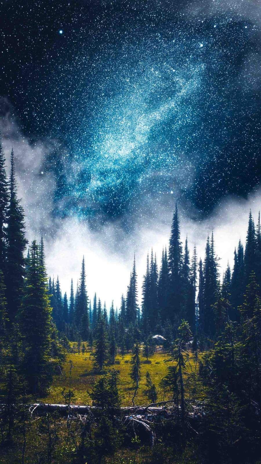900x1600 The Dreamland IPhone Wallpaper. Scenery wallpaper, Nature photography, Scenery