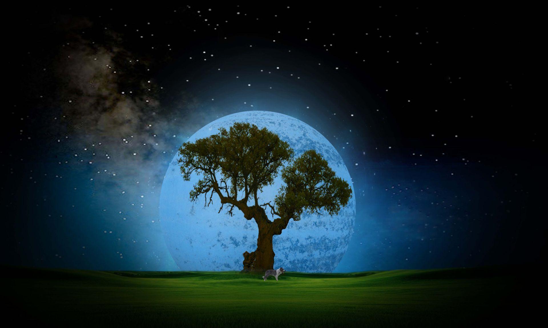 1920x1152 Dreamland At Night. HD Dreamy and Fantasy Wallpaper for Mobile and Desktop