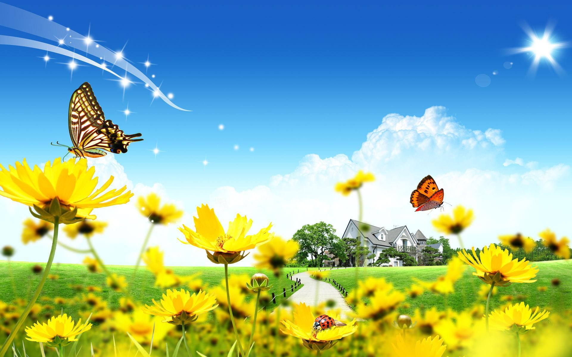 1920x1200 Summer Dreamland Wallpaper Hq Background HD Wallpaper Gallery