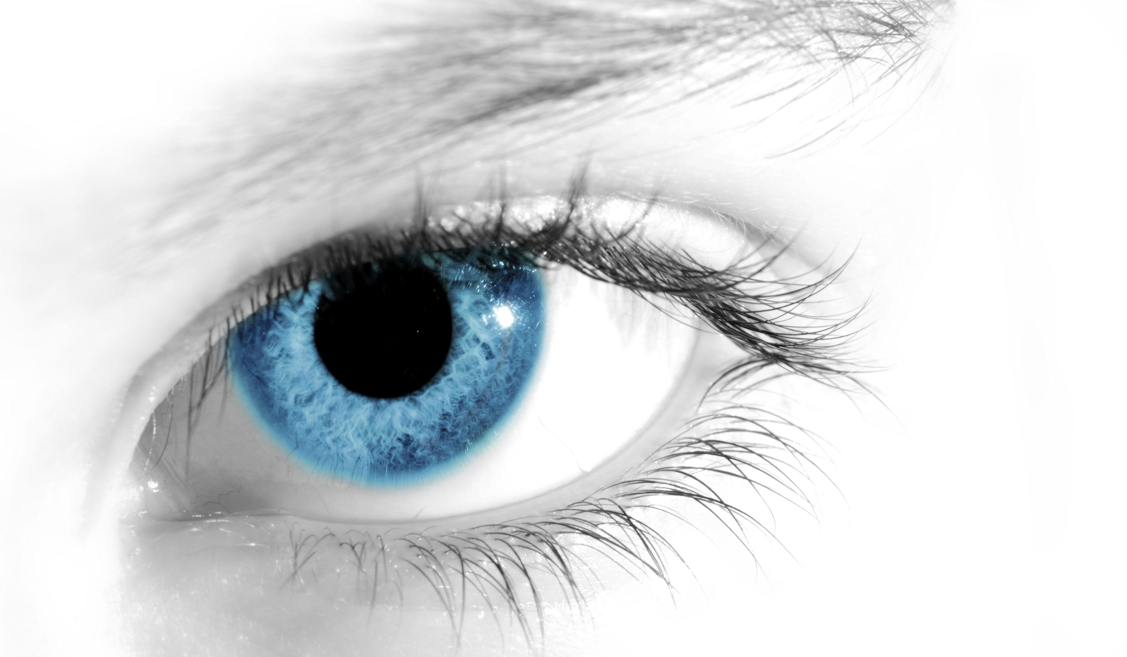 Eyeball Images Browse 178052 Stock Photos  Vectors Free Download with  Trial  Shutterstock