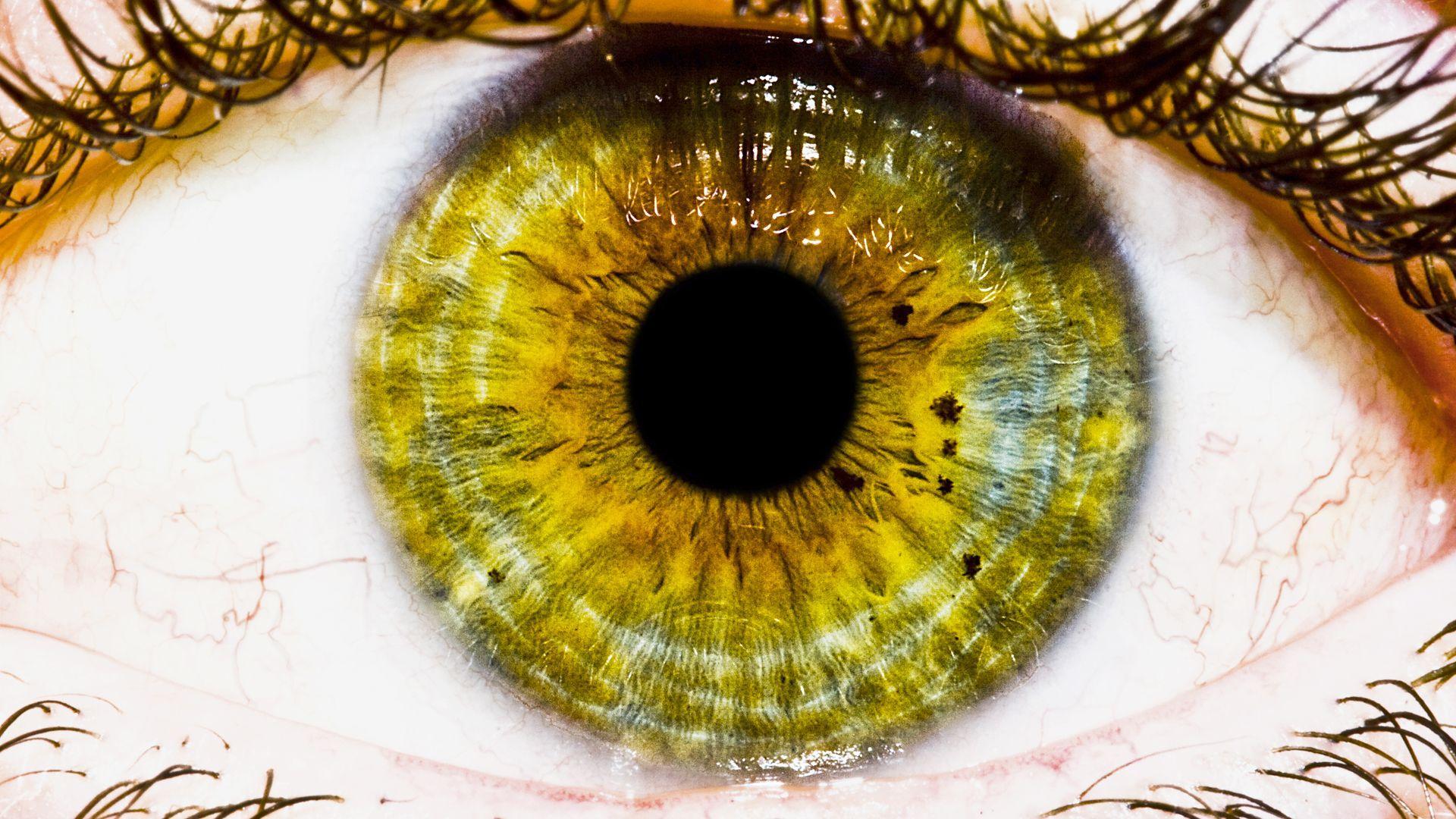 1920x1080 Eyeball Desktop Wallpaper