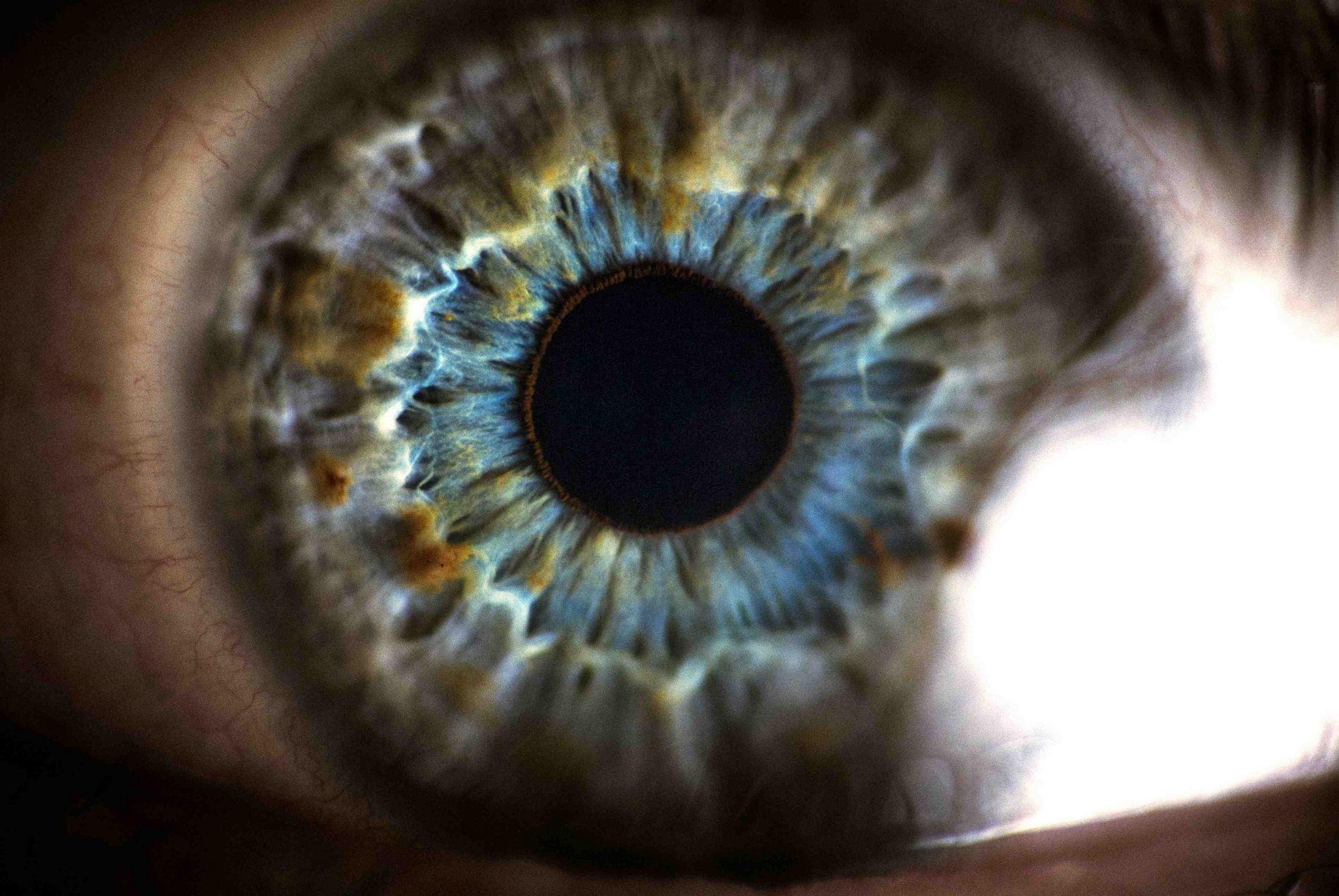 1900x1272 Free download Eye Wallpaper 43 Eye High Resolution Wallpaper [1900x1272] for your Desktop, Mobile & Tablet. Explore Eyeball Wallpaper. Free Wallpaper Eyes, Moving Eyeball Wallpaper, Eye Wallpaper Desktop