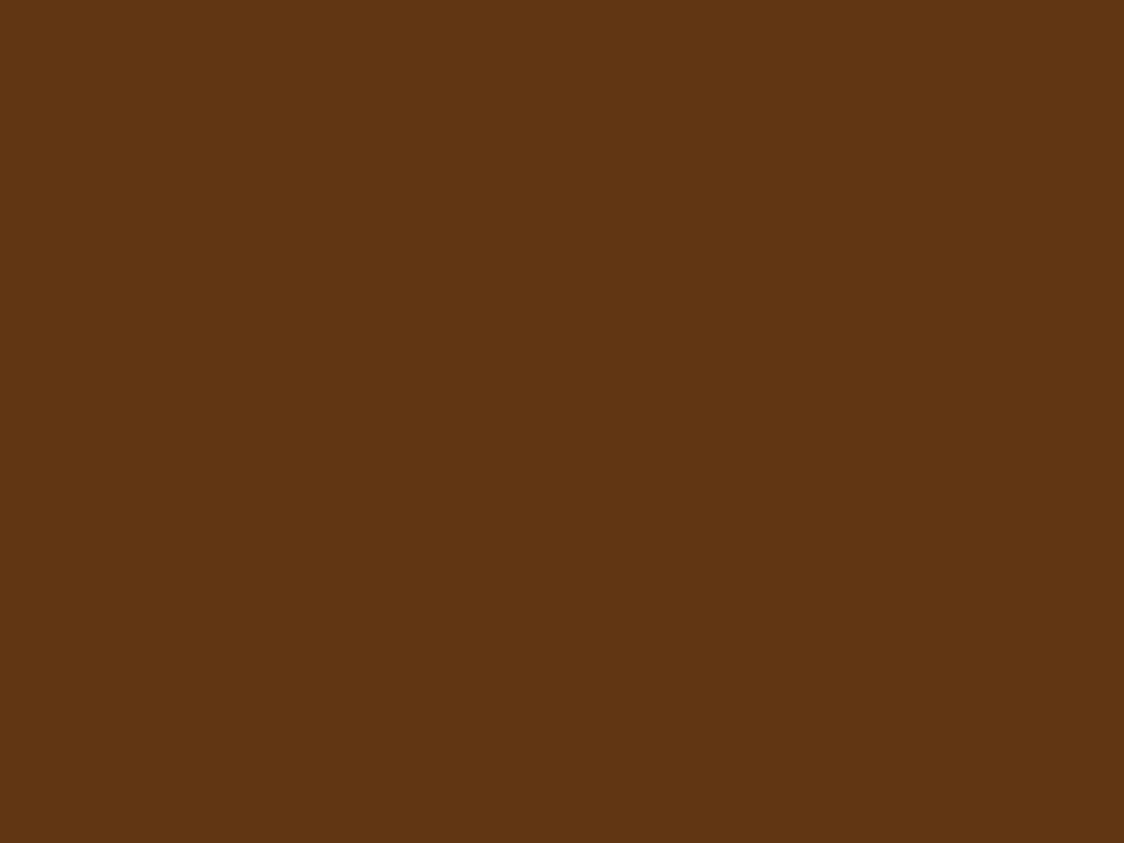 1024x768 Caramel Brown ( ) background image