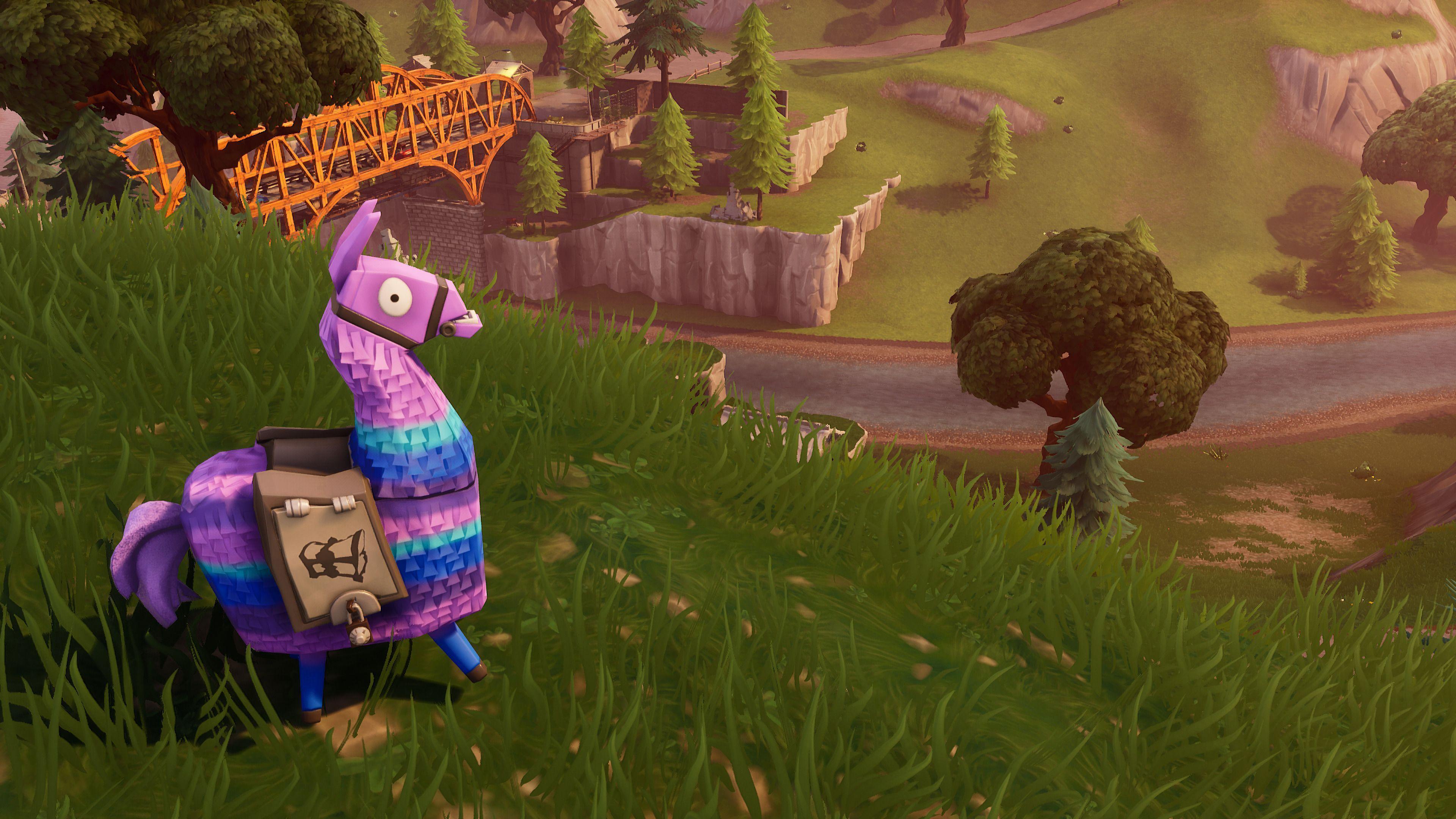 3840x2160 Cool Fortnite Llama Desktop Wallpaper