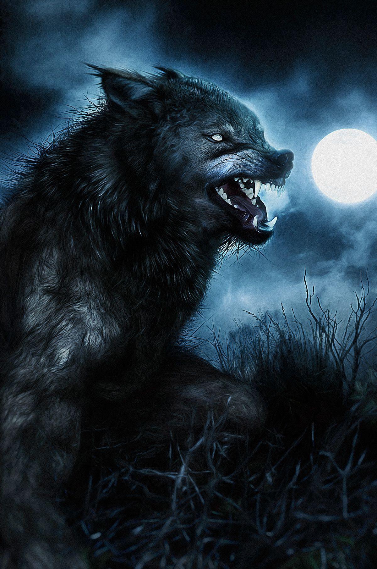 Wolf Horror Wallpapers - Top Free Wolf Horror Backgrounds - WallpaperAccess