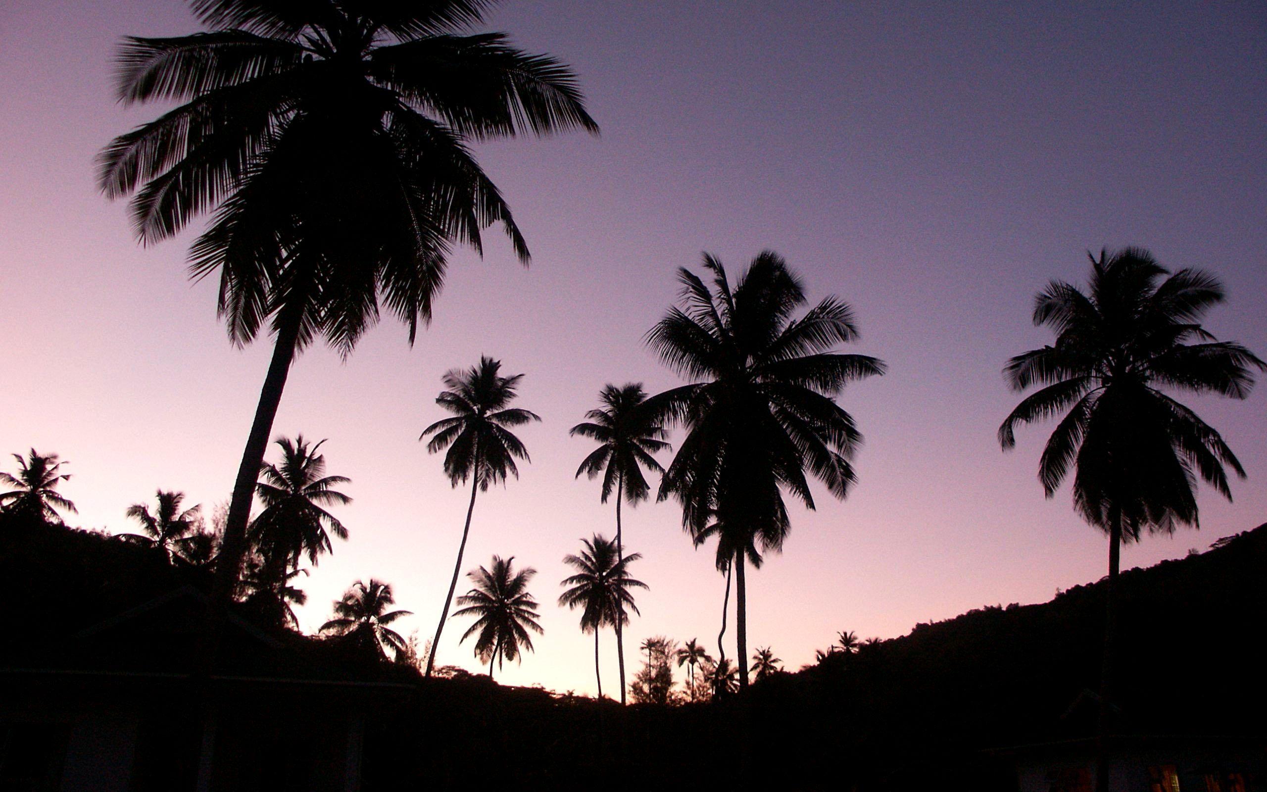 2560x1600 Beautiful Landscape Scene Wallpaperx1600