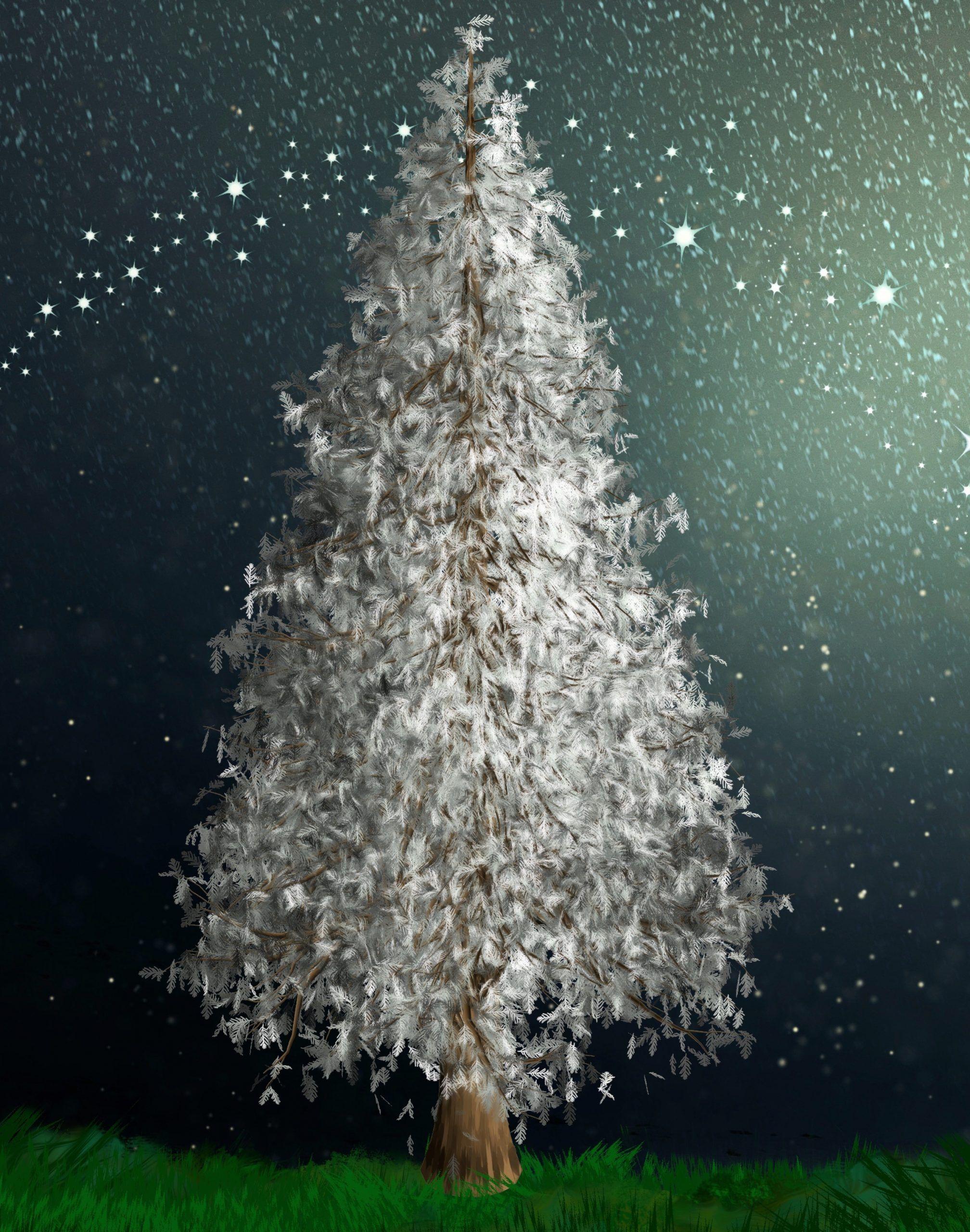 2016x2560 Winter Wallpaper For iPhone Photo Winter Wonderland
