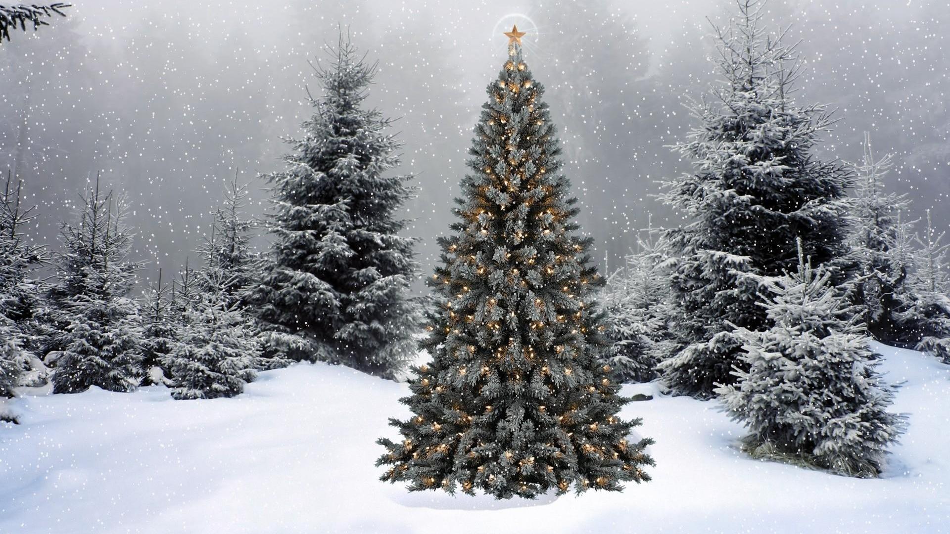 Christmas Winter Wonderland Wallpapers - Top Free Christmas Winter