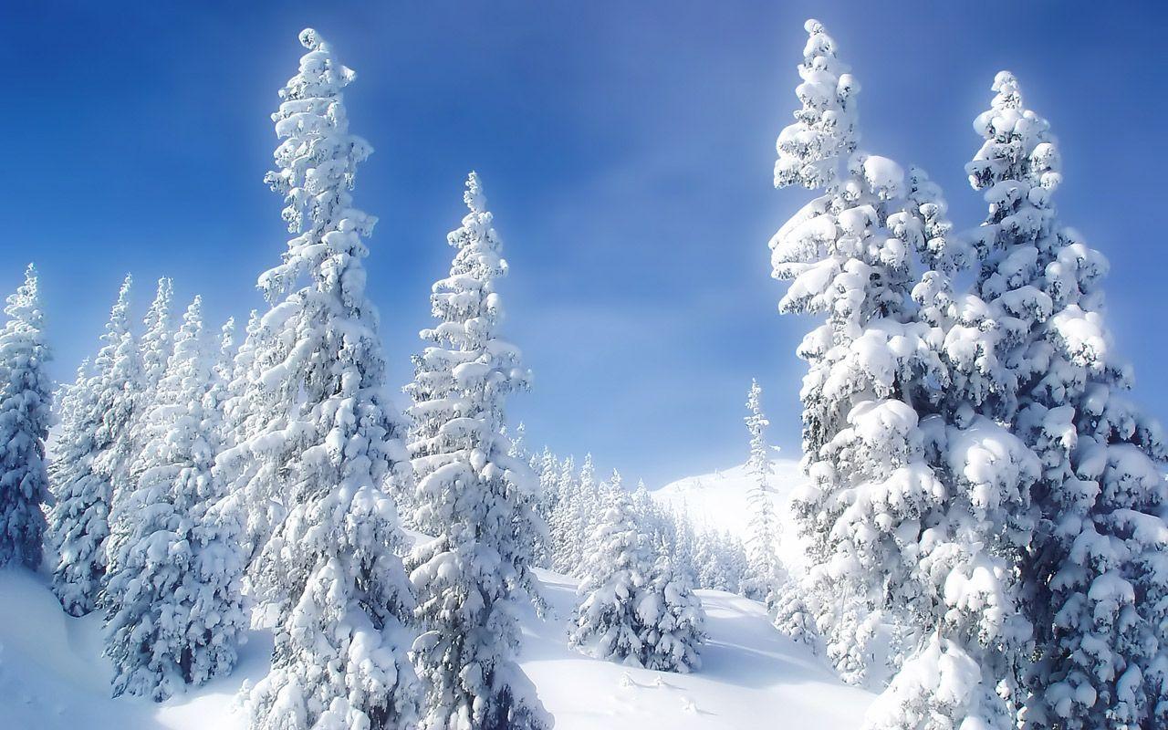 1280x800 Winter Wonderland Scene, Canada. Winter wonderland wallpaper, Winter background, Winter landscape