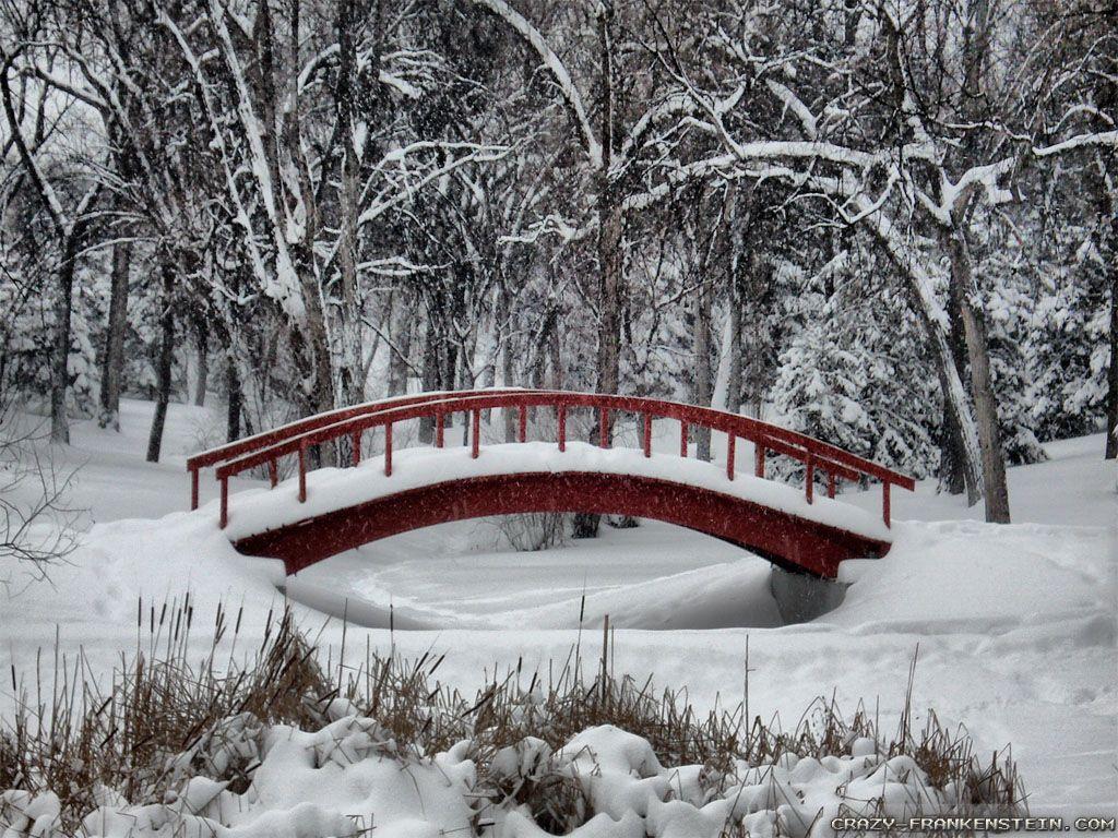 1024x768 Trends For Wallpaper Winter Wonderland Picture Free image