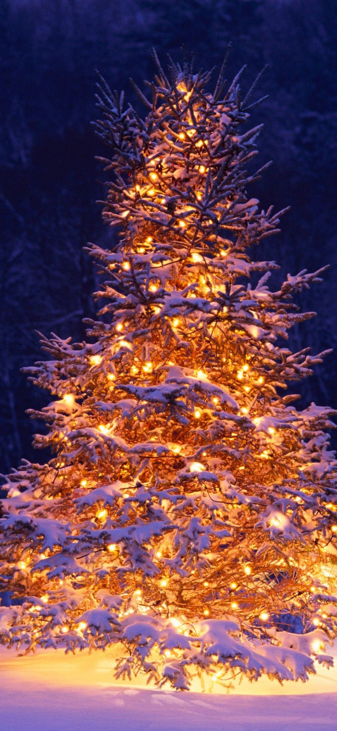 1125x2436 Christmas Tree, Chairs, Winter, Christmas, Holiday, Winter Wonderland Scene