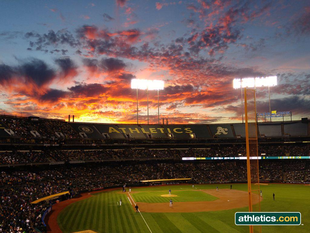 1024x768 Yankee Stadium HD Wallpaper