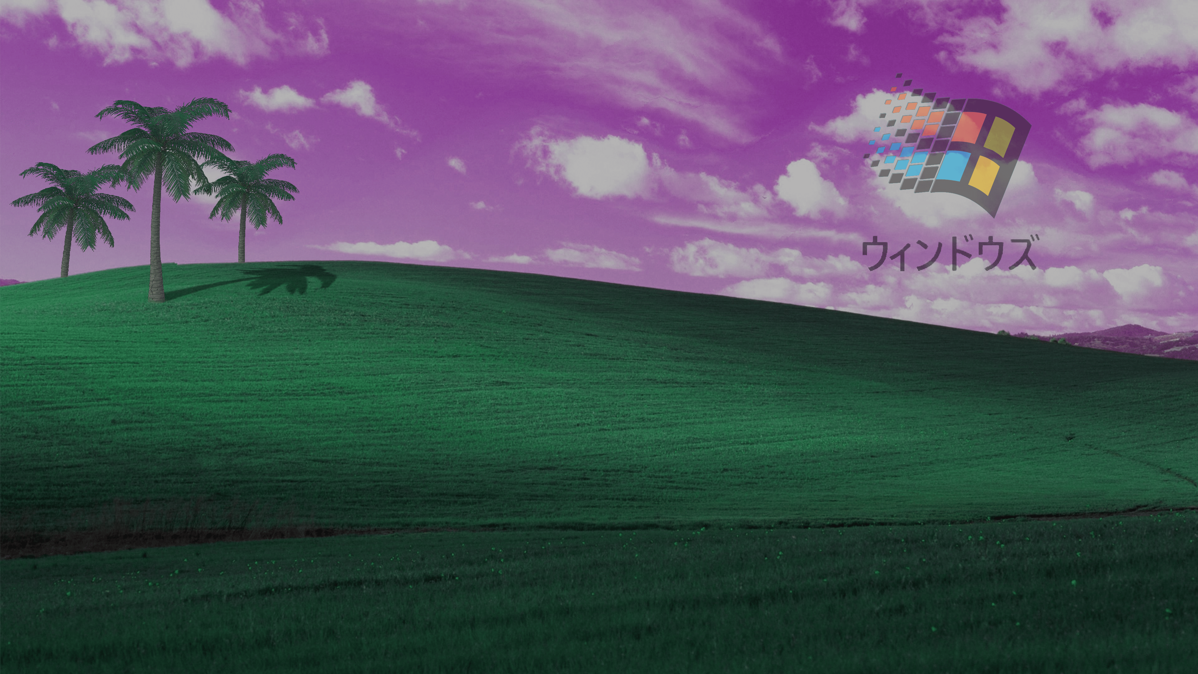 windows xp background palm trees 1920 x 1080 windows xp background palm trees 1920 x 1080