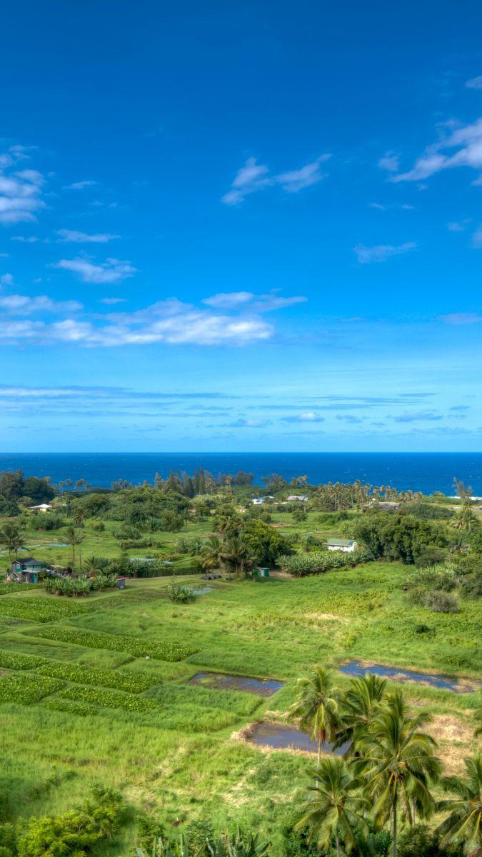 675x1200 Download these scenic Hawaii wallpaper for your phone