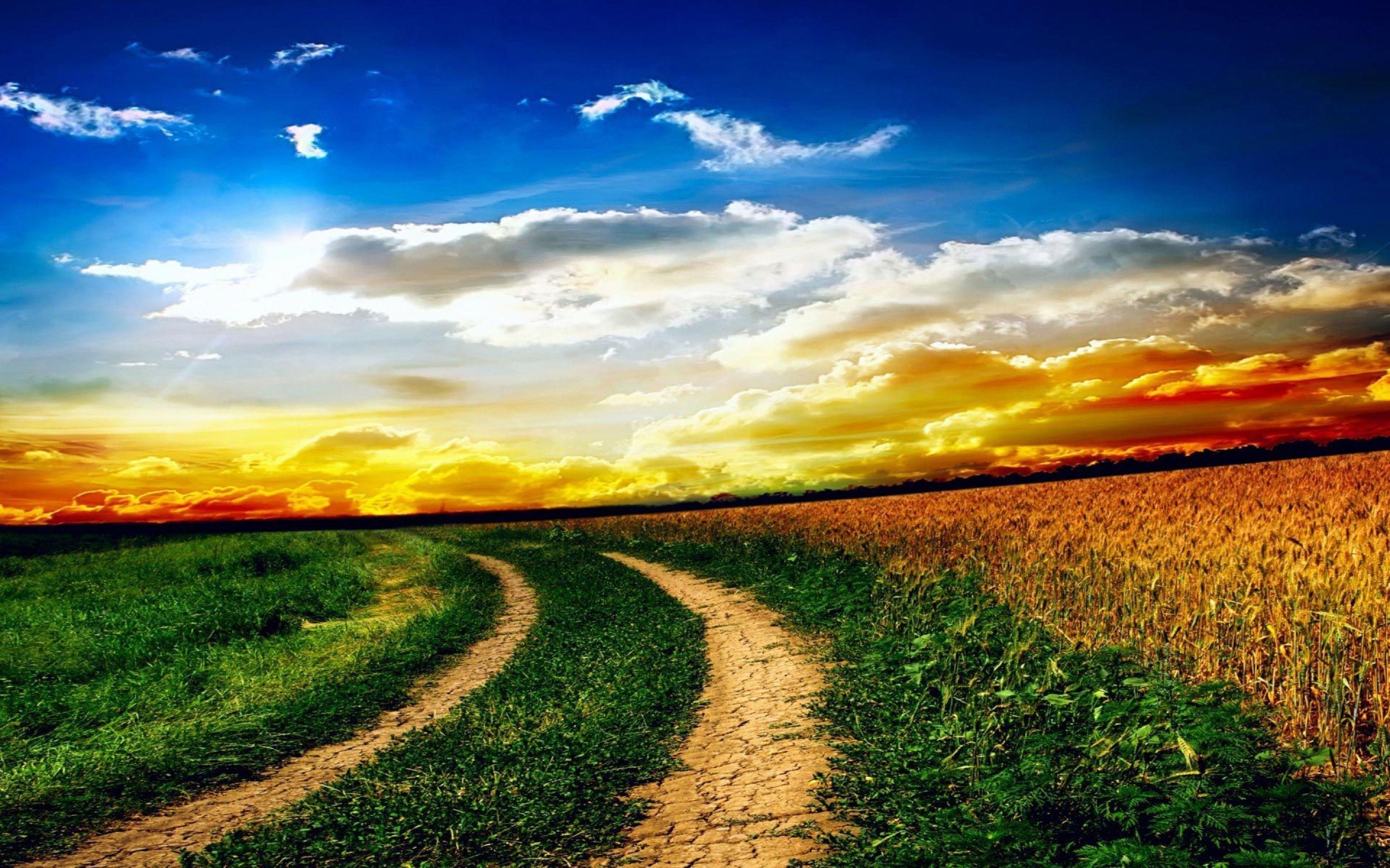 2880x1800 Nature HD Wallpaper Tải xuống miễn phí