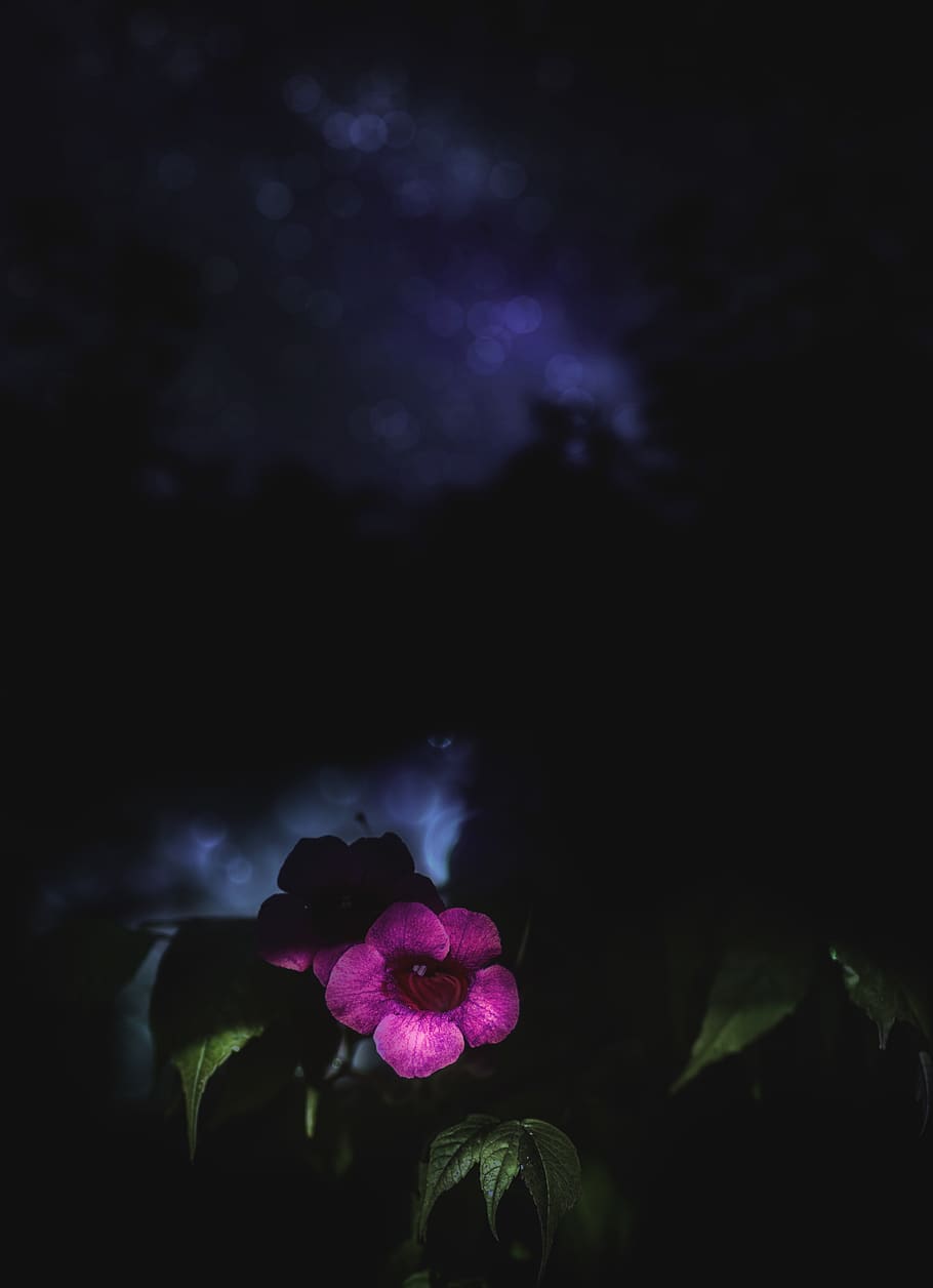 910x1256 Mystical Night Sky Wallpaper