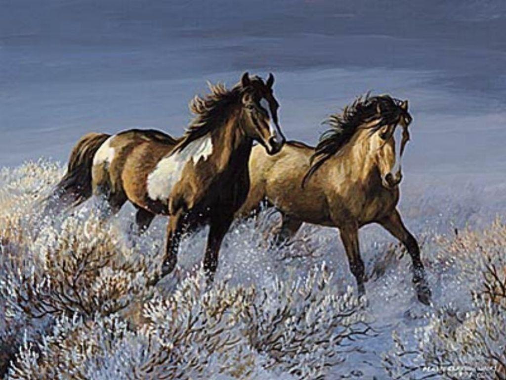 1024x768 HD Animals Wallpaper: Black Wild Horses