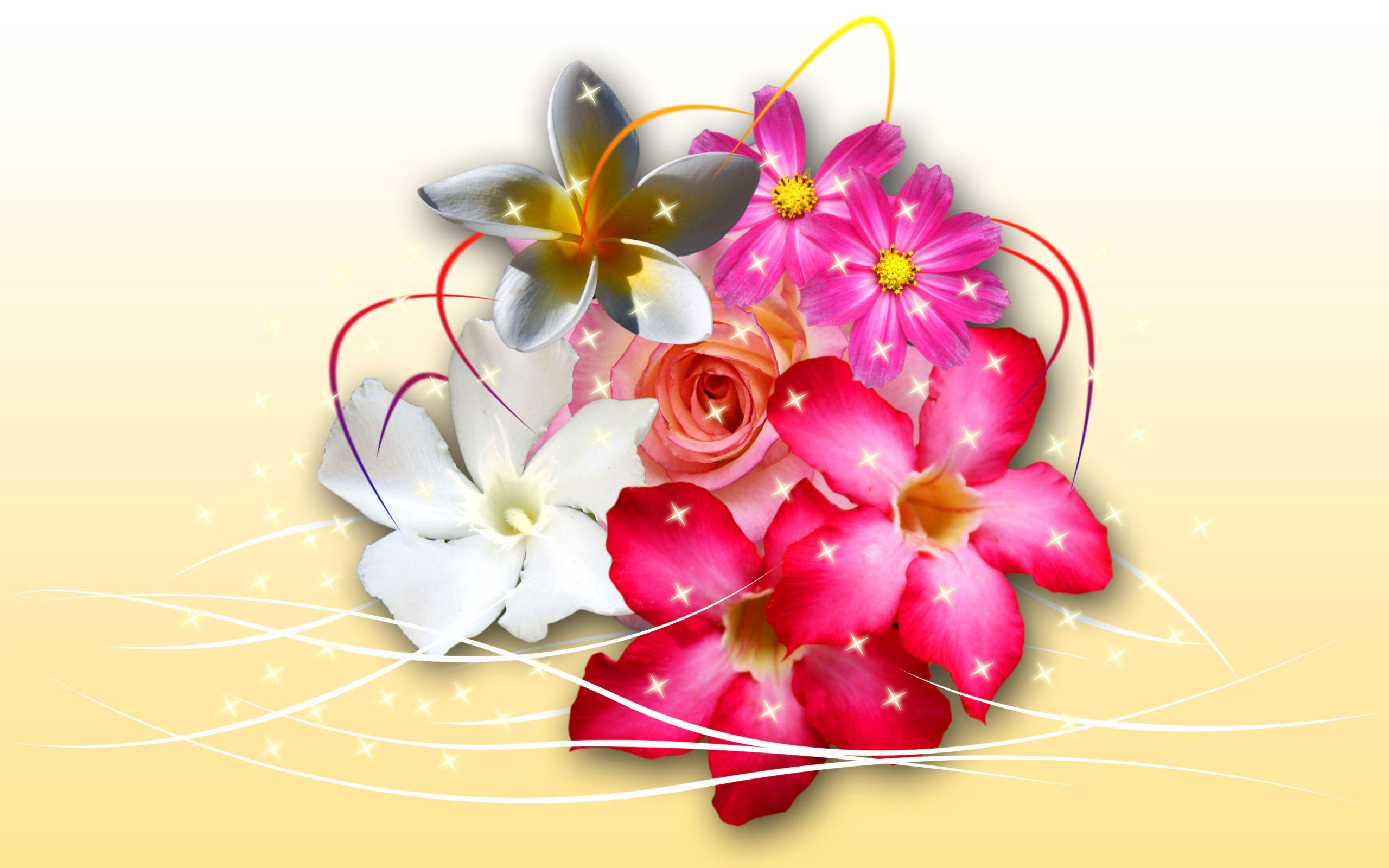 2560x1600 Magic Flowers wallpaper. Magic Flowers