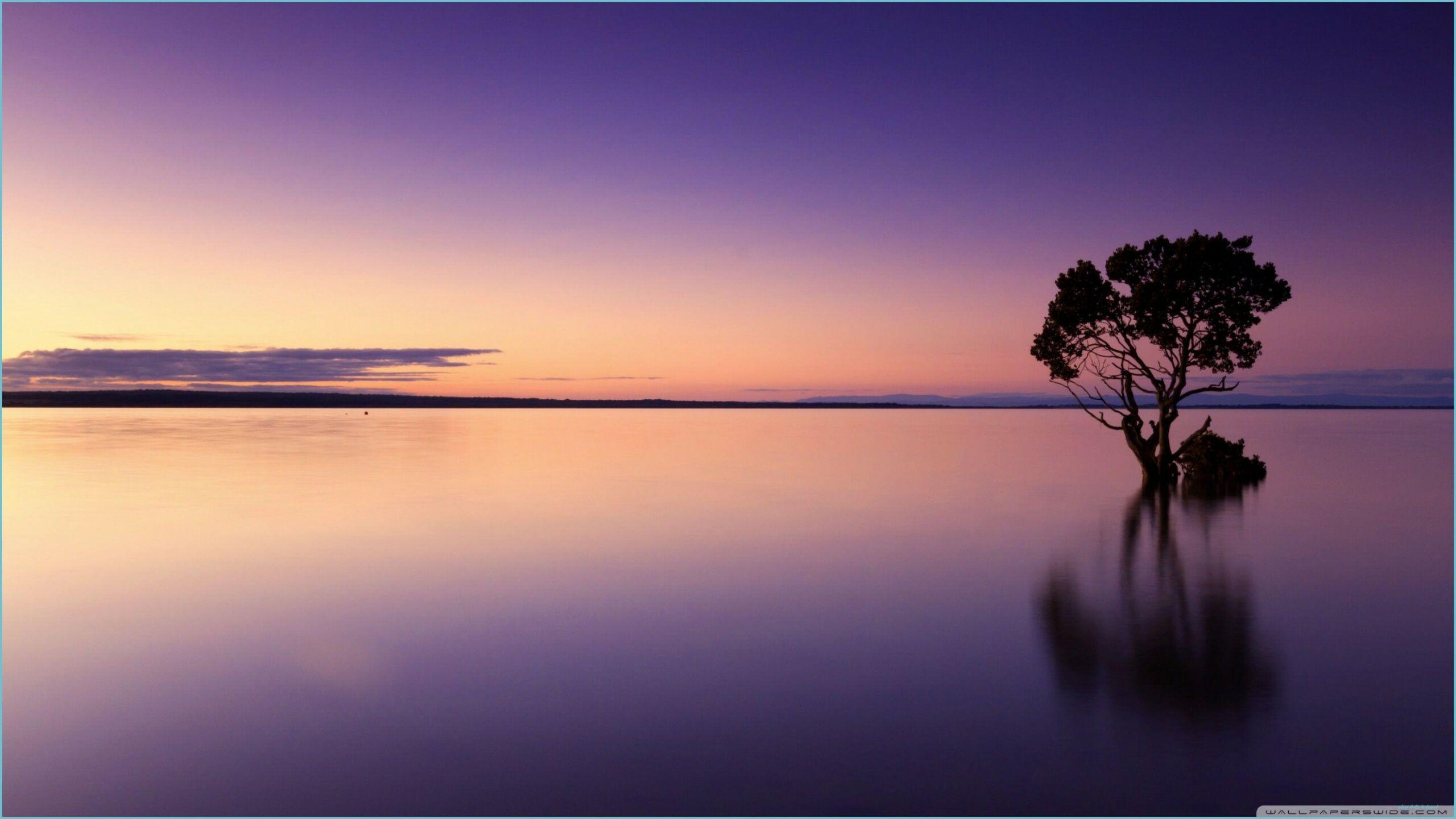 Calming Purple Wallpapers Top Free Calming Purple Backgrounds Wallpaperaccess 7939