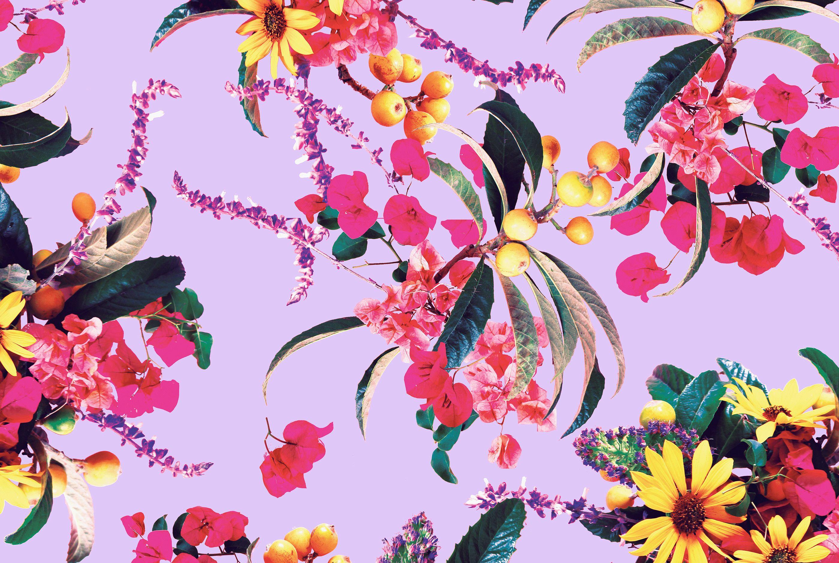 2800x1880 Freshen Up Your Mobile Or Desktop Background With Kahlo Wallpaper HD HD Wallpaper