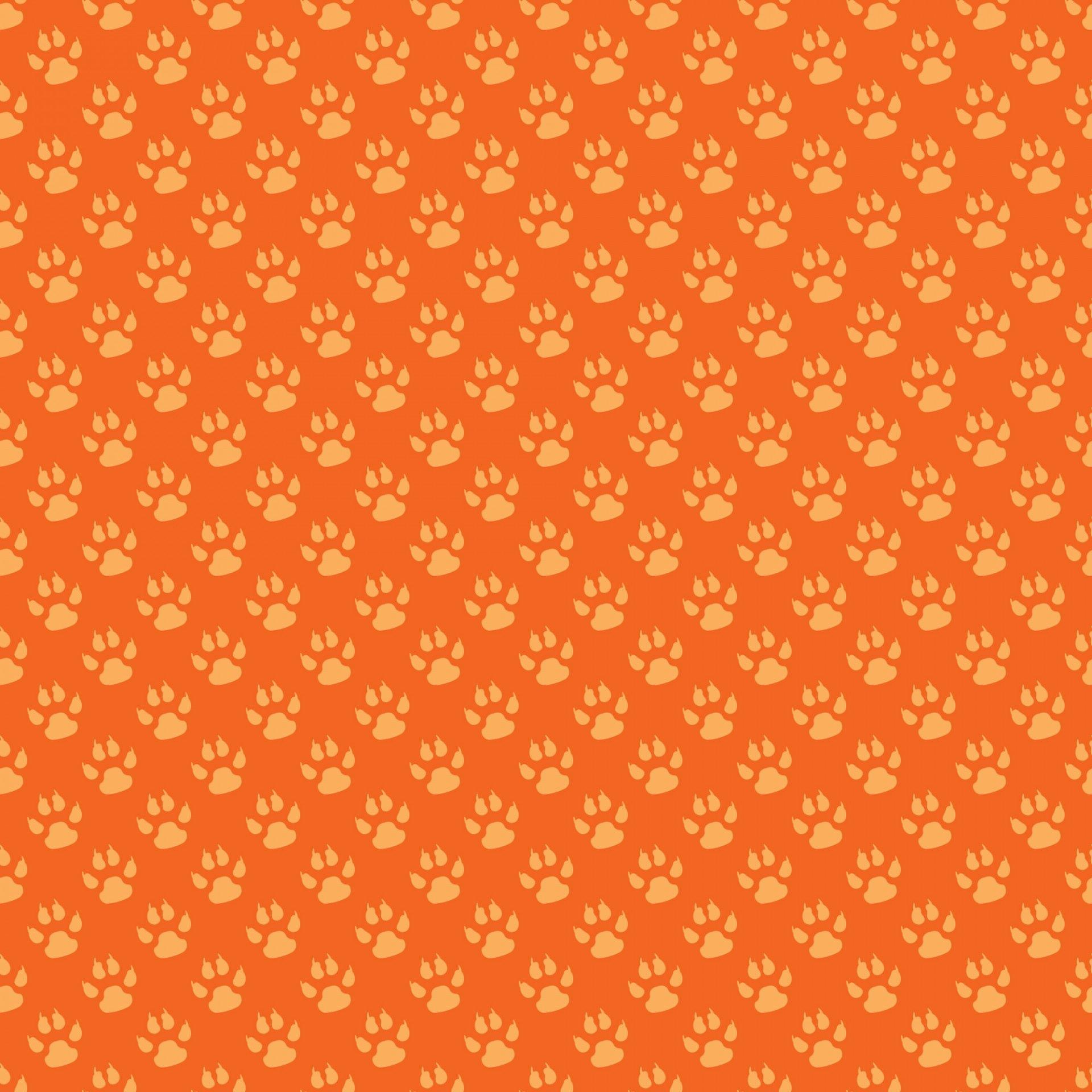 1920x1920 Paw Prints Background Wallpaper Free Domain Picture