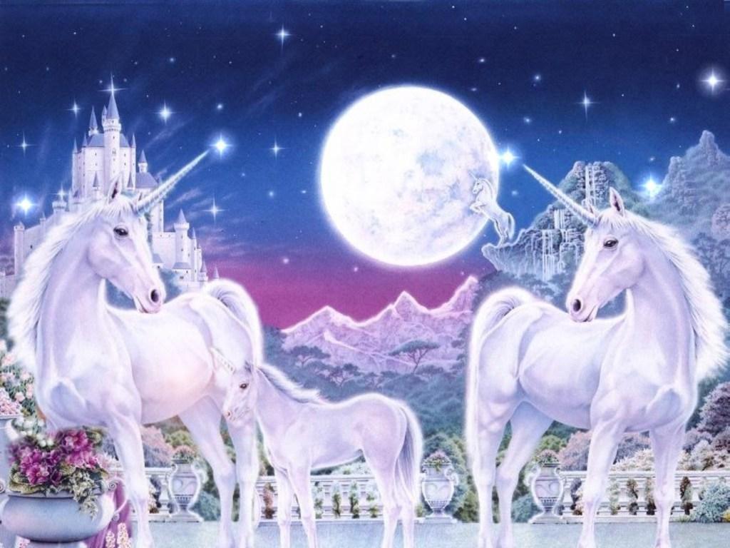 1024x768 Fairy And Unicorn Wallpaper