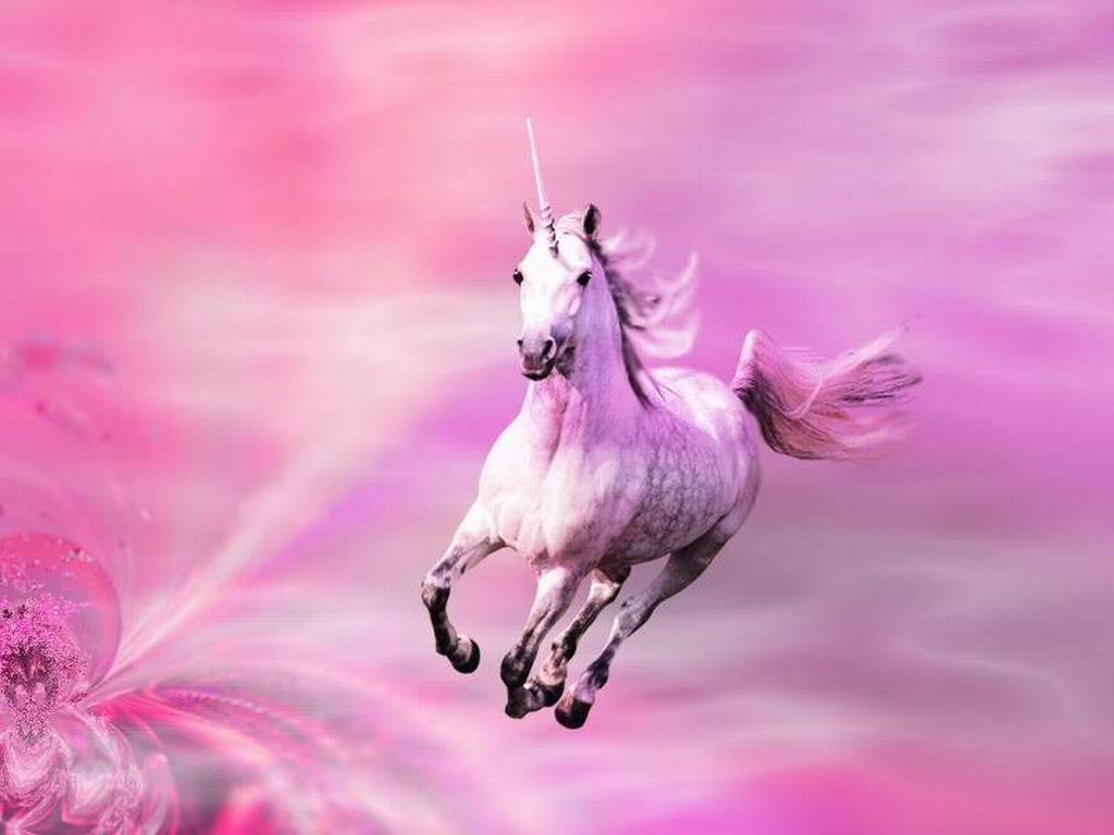 1024x768 Pink Unicorn Wallpaper