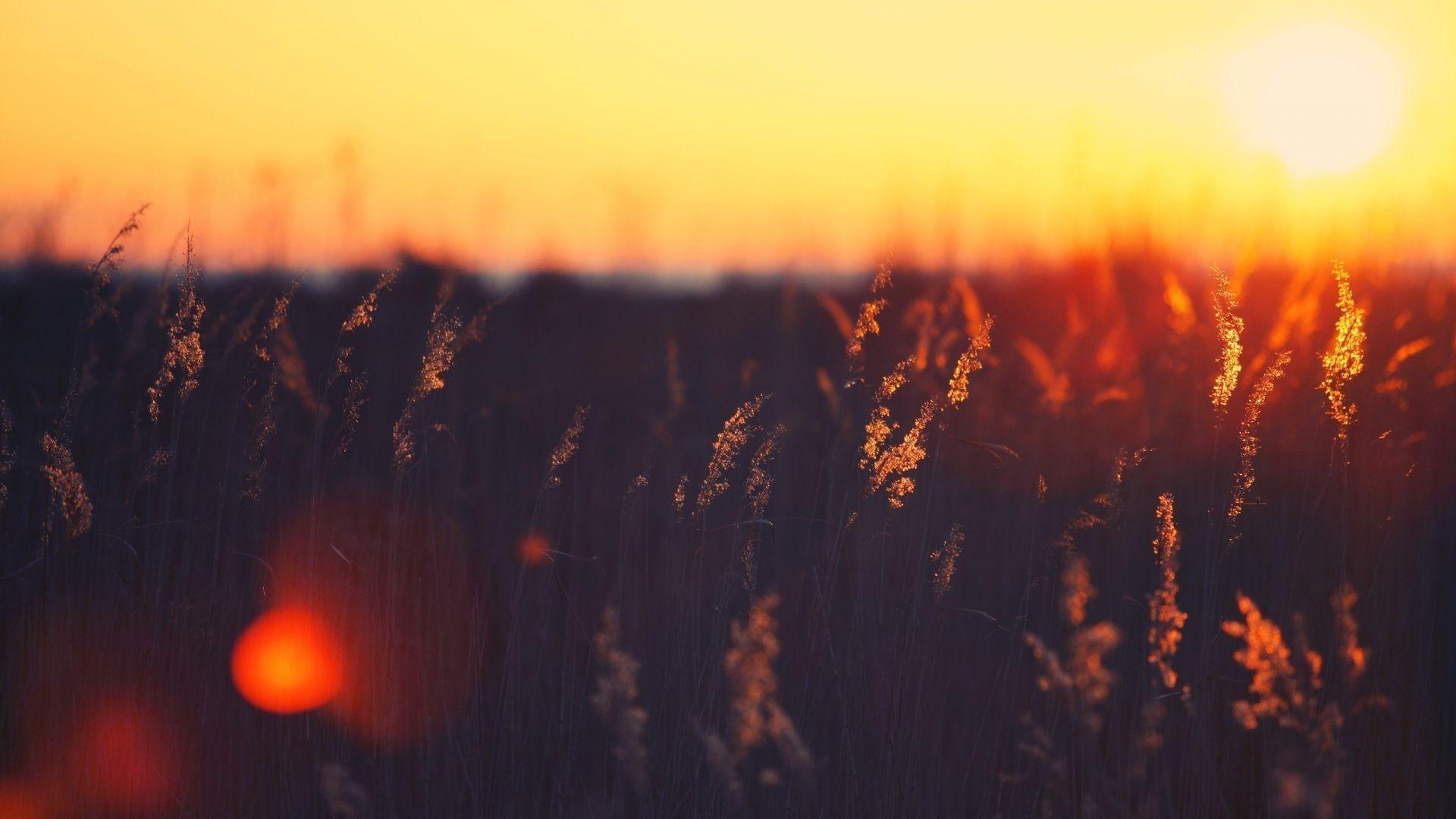 1920x1080 Free download Vintage Sunset Graphy Wallpaper 2560x1600 Full HD Wallpaper [2560x1600] for your Desktop, Mobile & Tablet. Explore Vintage Photography Wallpaper. Vintage Wallpaper Desktop