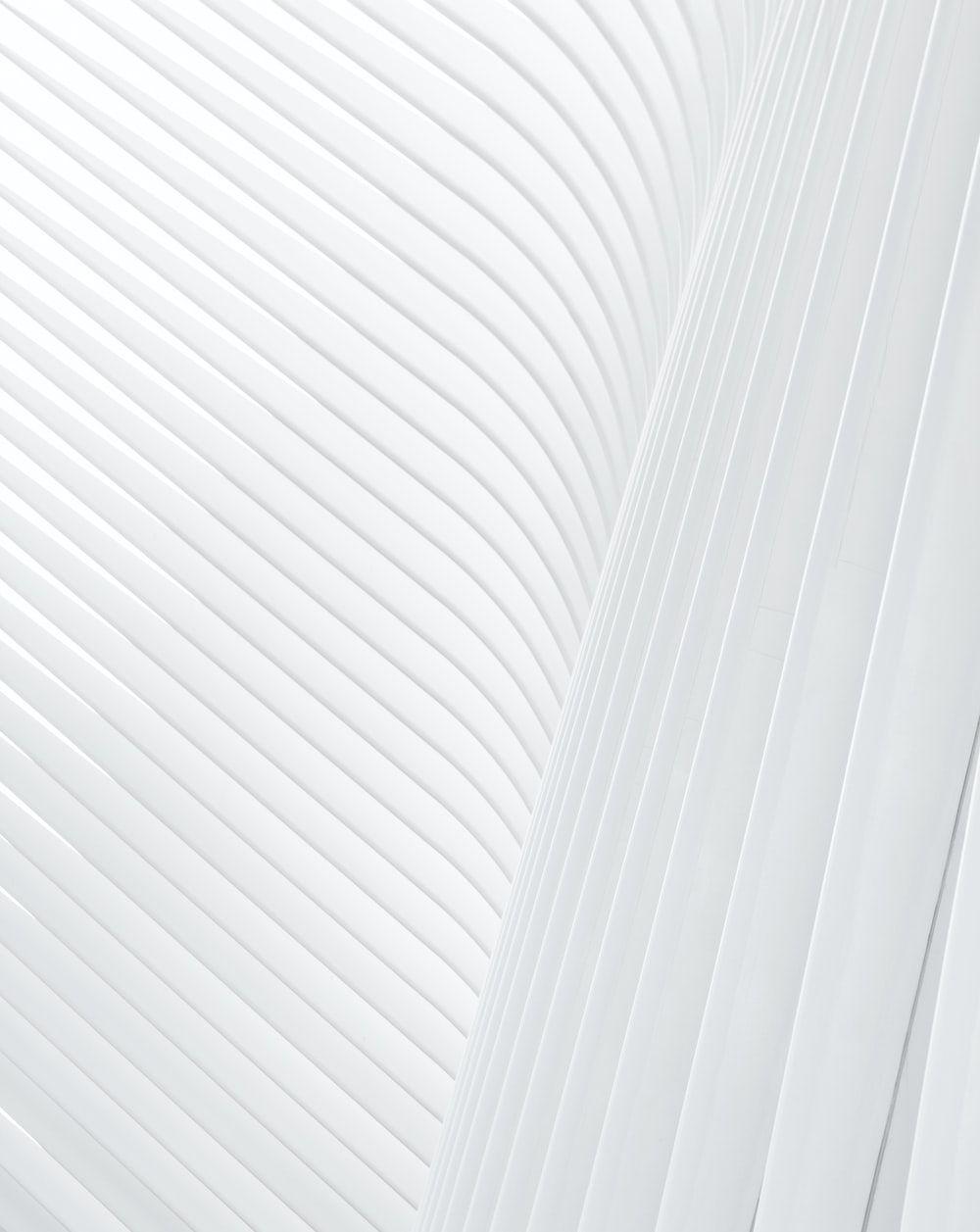 1000x1257 White Wallpaper: Free HD Download [HQ]
