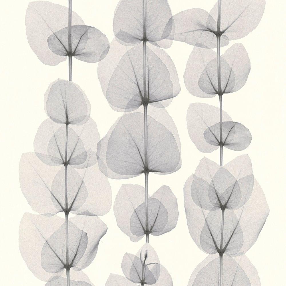 1000x1000 Wallpaper Leaf Cream White Grey AS Creation 34245 2