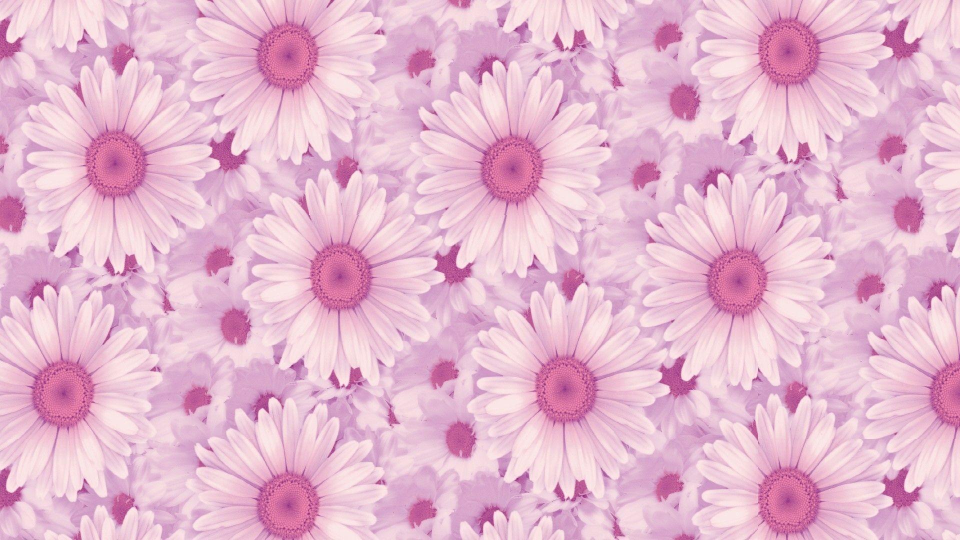 1920x1080 Plants Tumblr High Resolution Laptop Wallpaper
