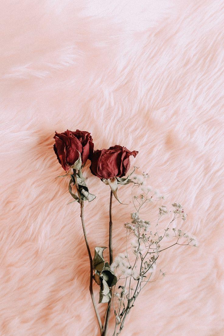736x1104 Wallpaper iPhone flowers #girlywallpaperiphonevintagepink #wallpaperiphone7 #. Flower background wallpaper, Flower phone wallpaper, Wallpaper background