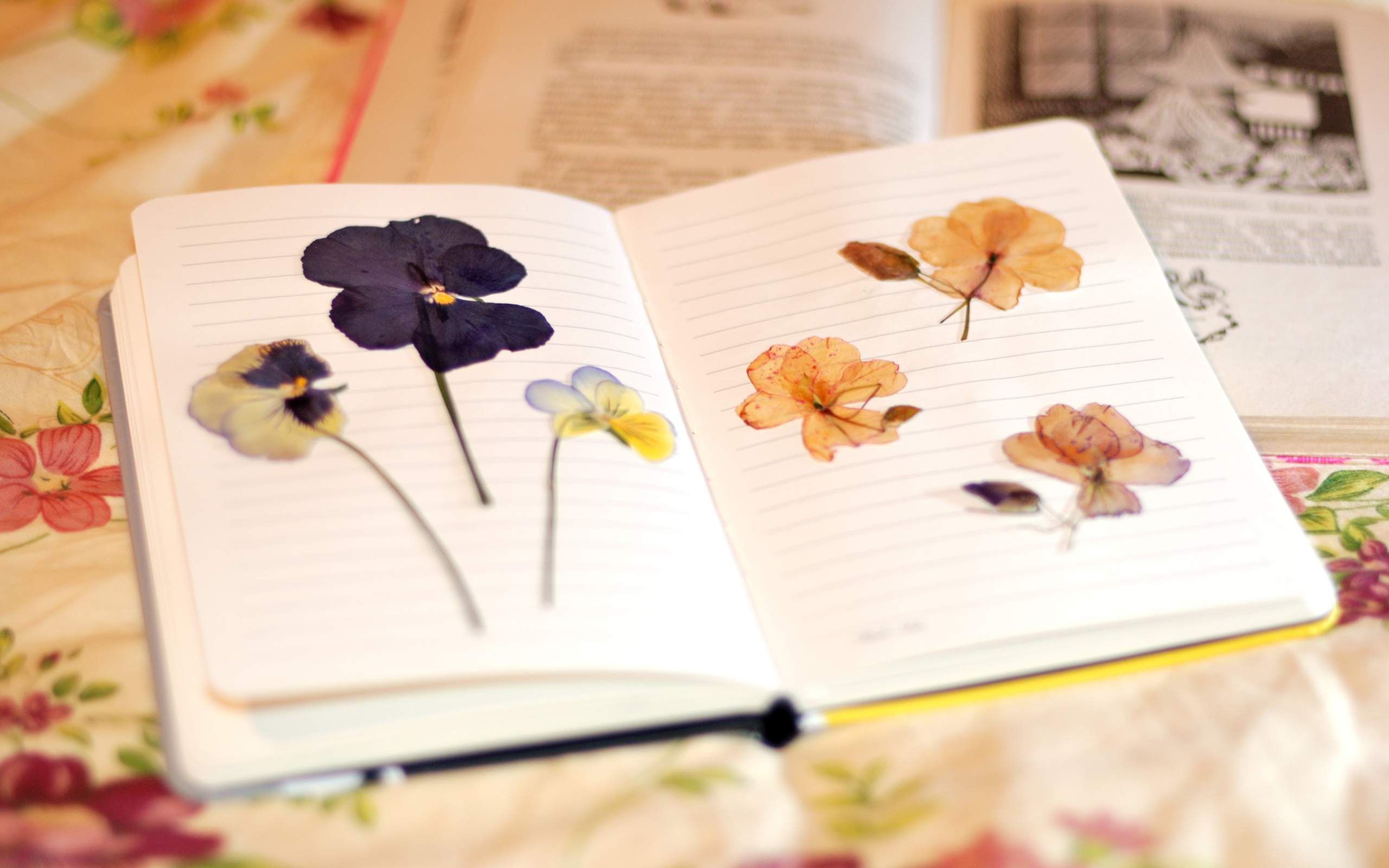 2560x1600 Desktop Wallpaper Pressed Flowers In Book, HD Image, Picture, Background, Nz Do