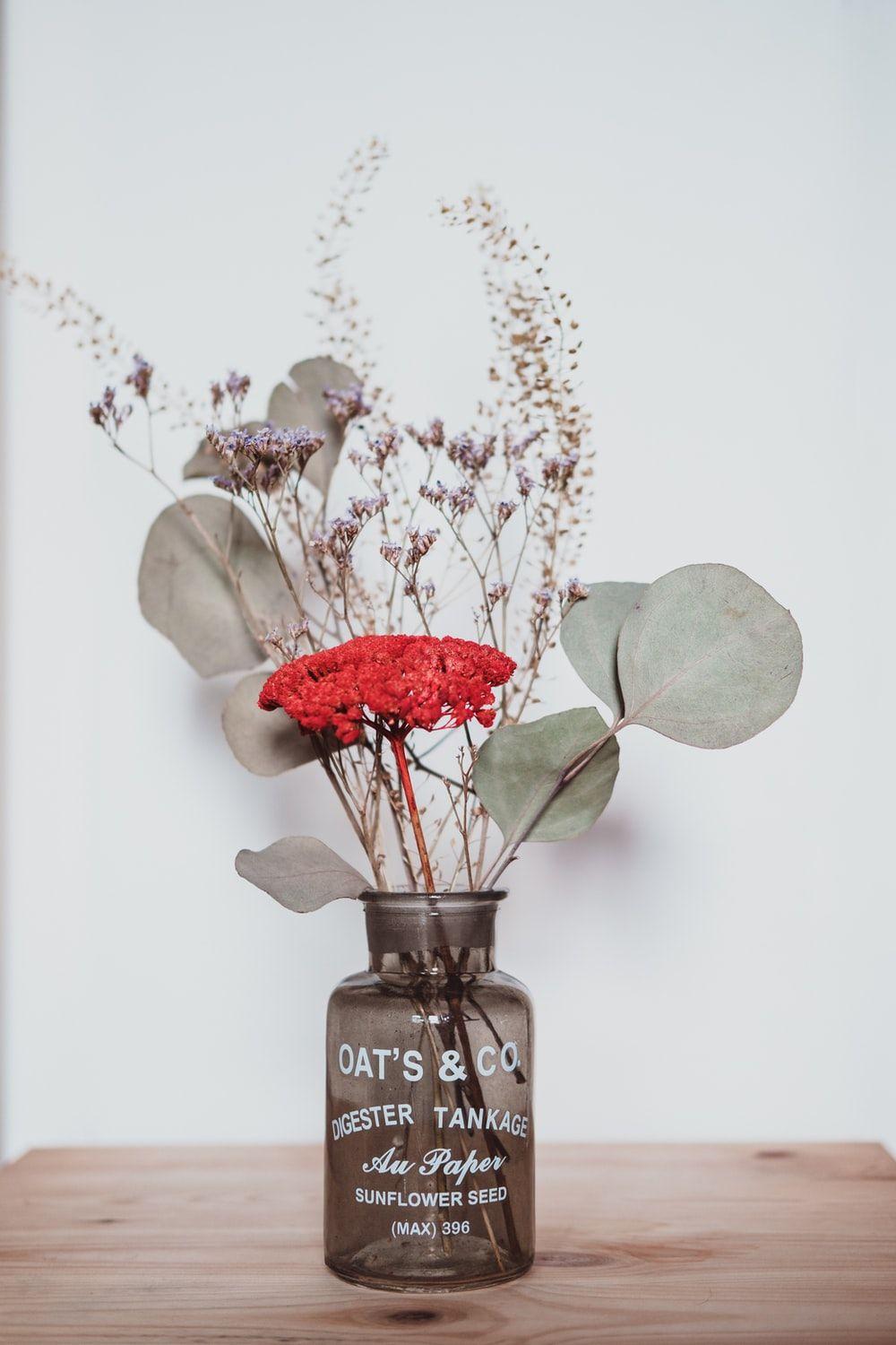 1000x1500 Dried Flower Picture [HD]. Download Free Image