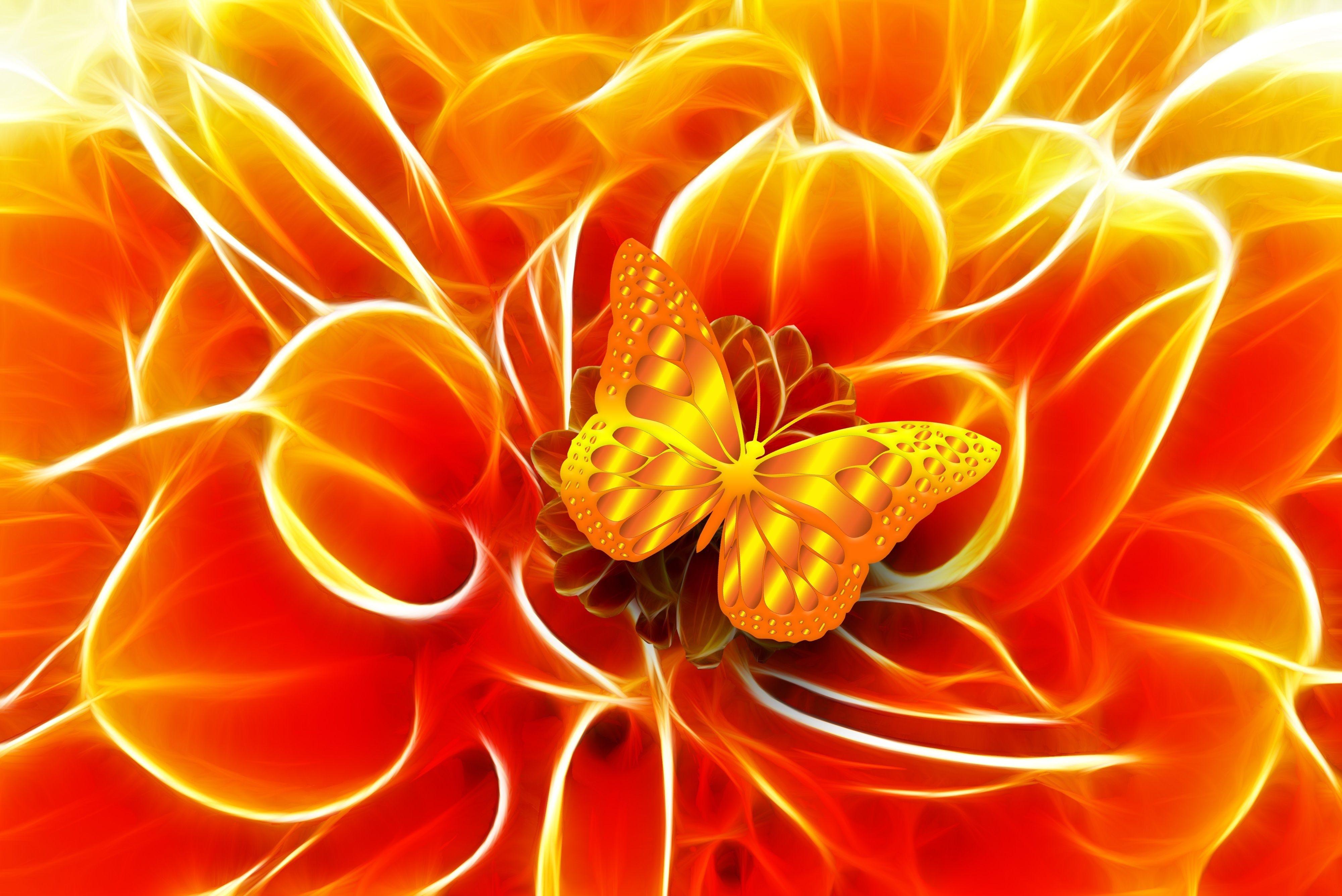 Golden Flower Wallpapers Top Free Golden Flower Backgrounds