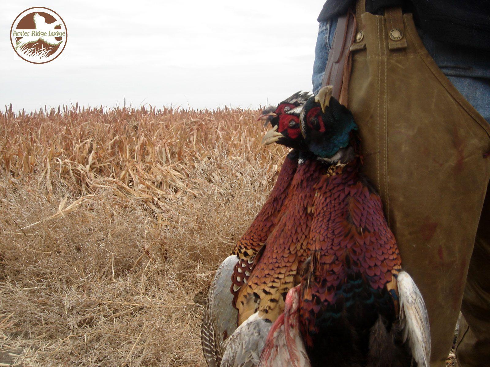 1600x1200 Index Of Cdn Hdwallpaper 640
