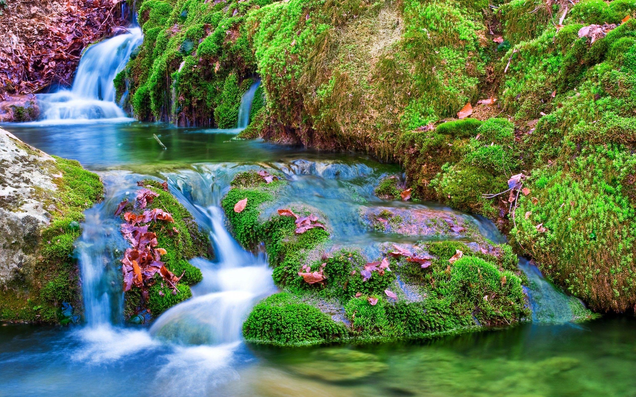 2560x1600 Wallpaper Of Waterfall In Nature
