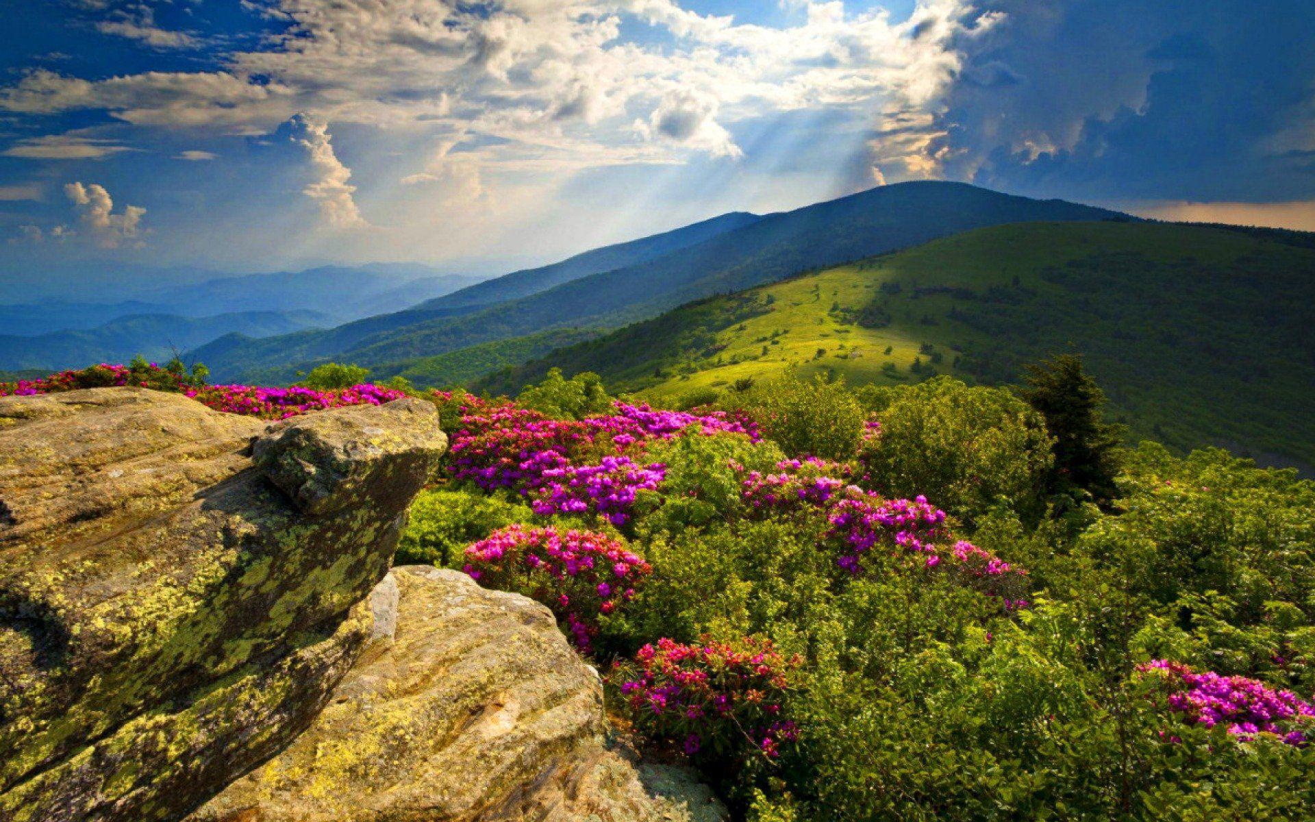 1920x1200 Blue Ridge Mountains Desktop Wallpaper