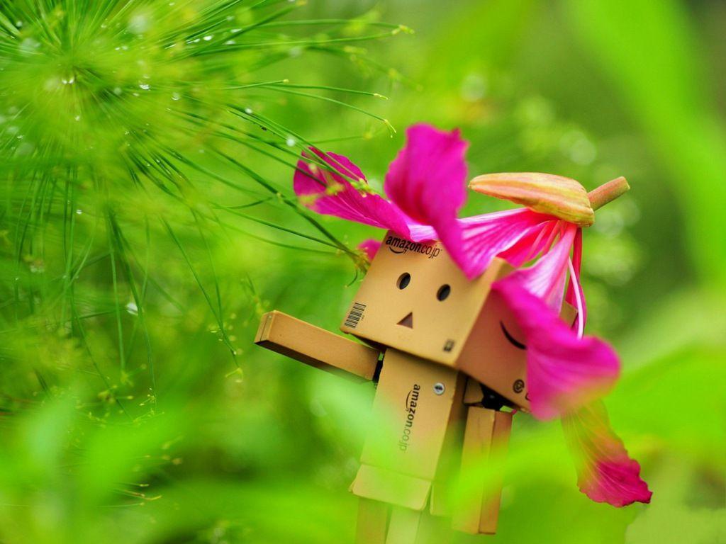 1024x768 Free download boxman 0 comment s assalamualaikum oh cutenya boxman ni hahaaaa i love [1024x768] for your Desktop, Mobile & Tablet. Explore Cute Boxman Wallpaper. Smosh Wallpaper, Cute Wallpaper